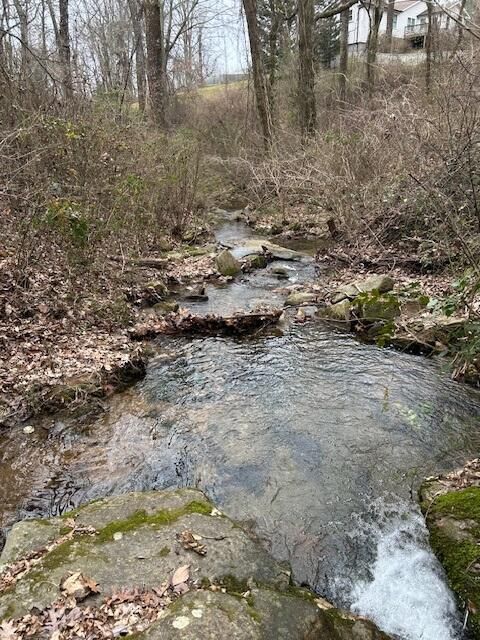 Tiny photo for 1007 Evanwood Drive E, Lookout Mountain, TN 37350 (MLS # 1393322)