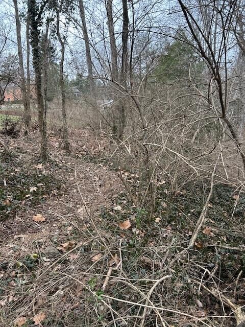 Tiny photo for 1007 Evanwood Drive E, Lookout Mountain, TN 37350 (MLS # 1393322)