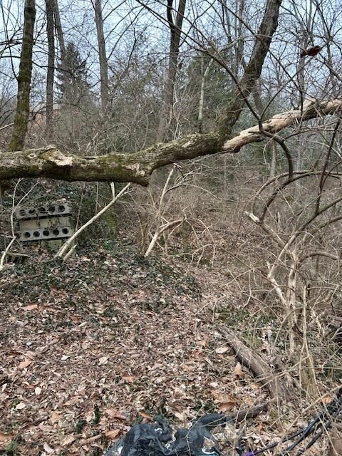 Tiny photo for 1007 Evanwood Drive E, Lookout Mountain, TN 37350 (MLS # 1393322)