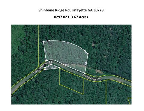 Photo of 0 Shinbone Ridge Road, LaFayette, GA 30728 (MLS # 1530327)