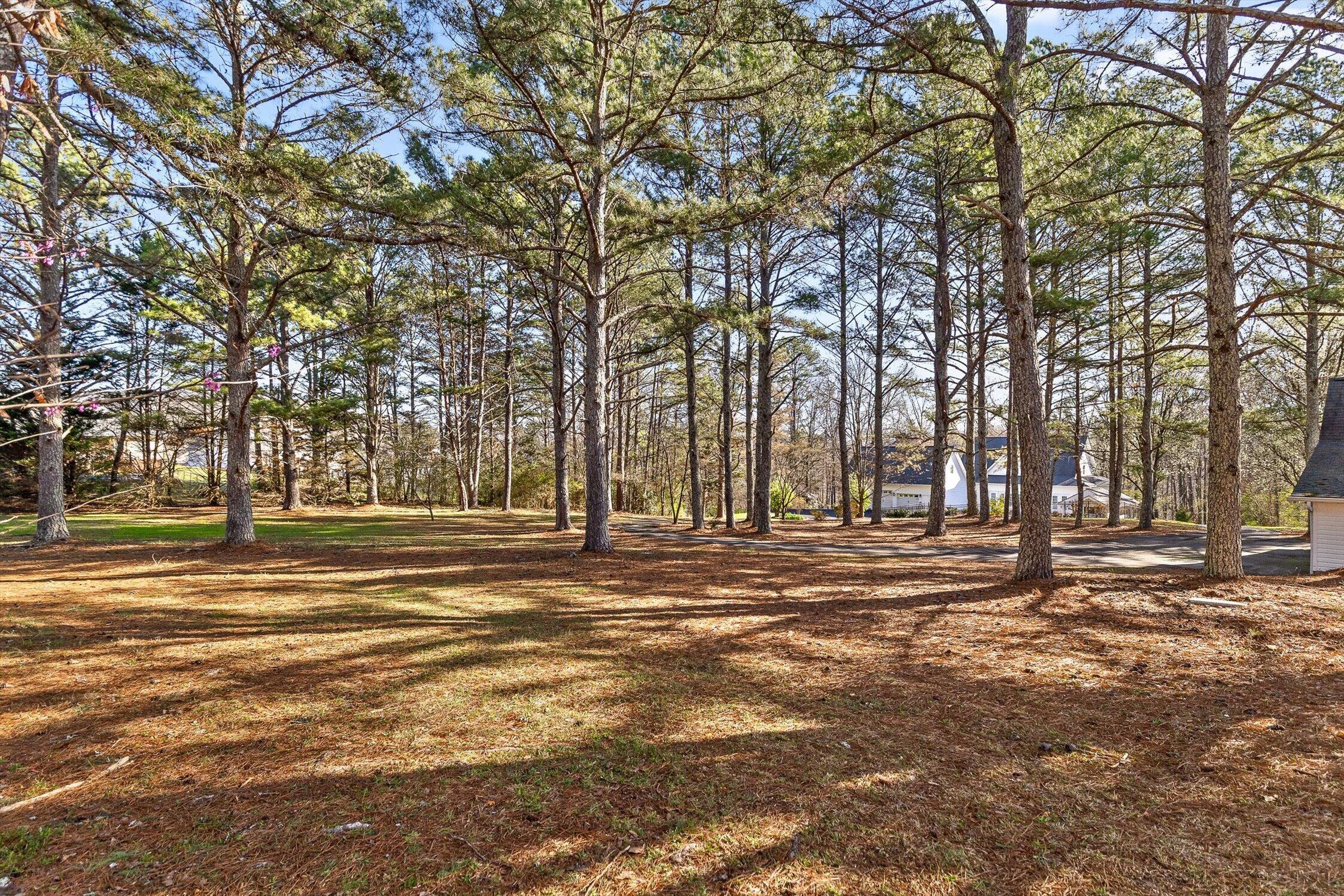 895 Ross Hollow Road