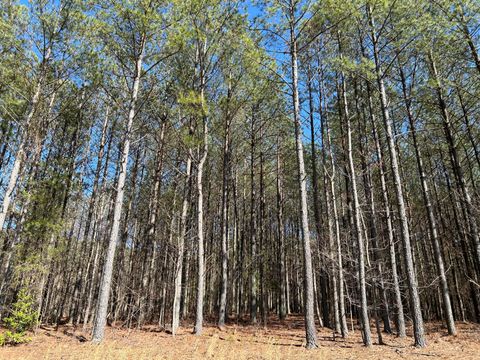 Photo of 4210 Raulston Fls Road, Jasper, TN 37347 (MLS # 1526374)