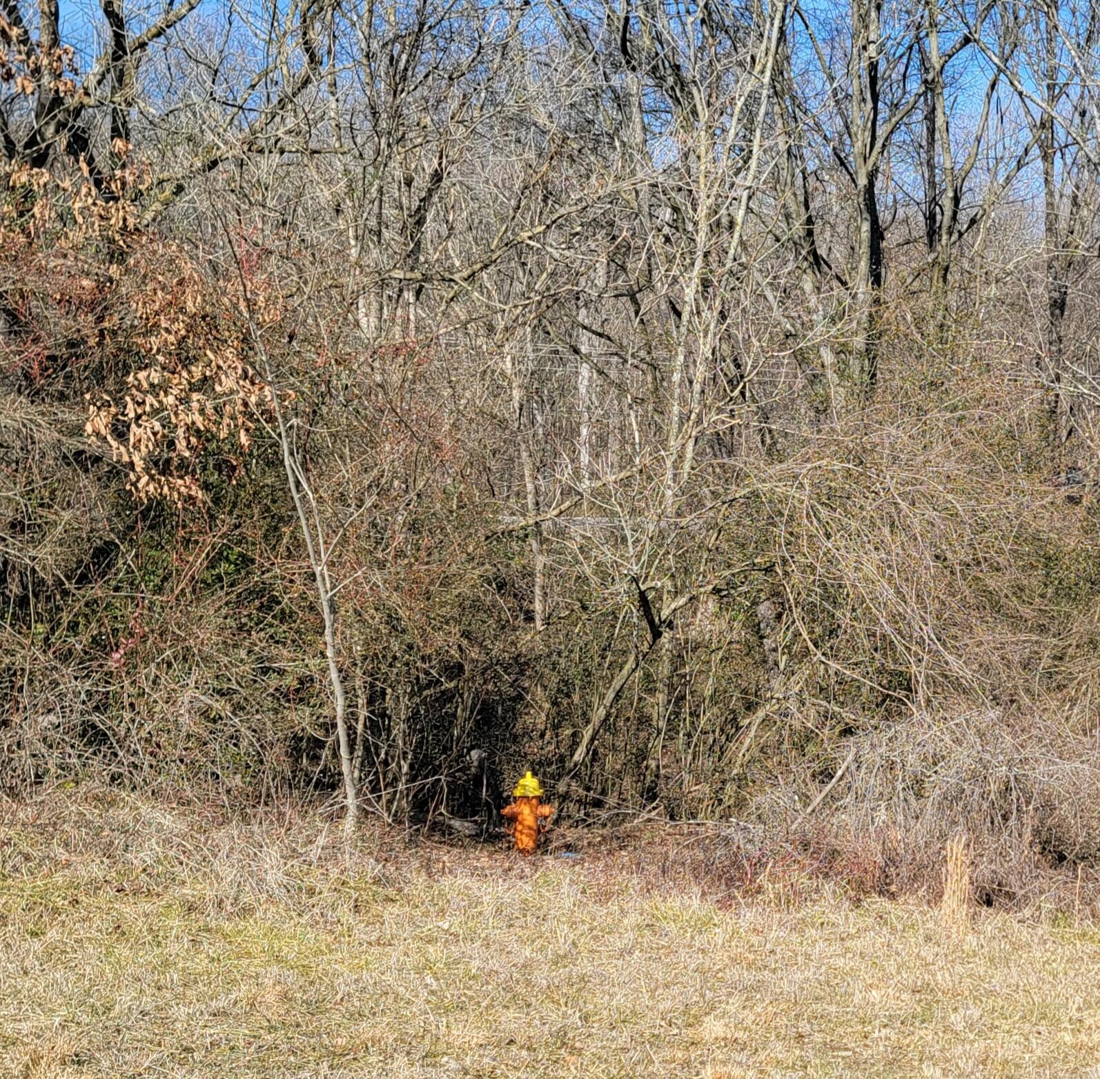 N Lee Highway, Charleston, Tennessee image 3