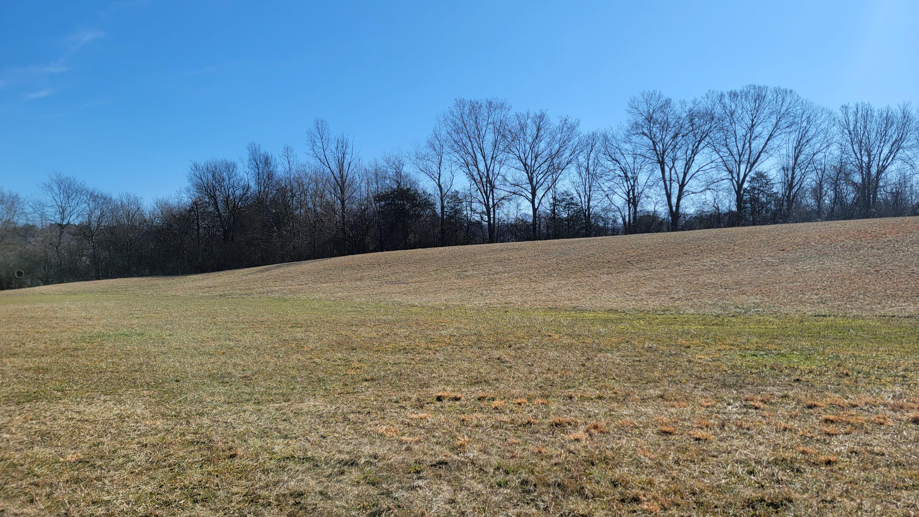 N Lee Highway, Charleston, Tennessee image 6