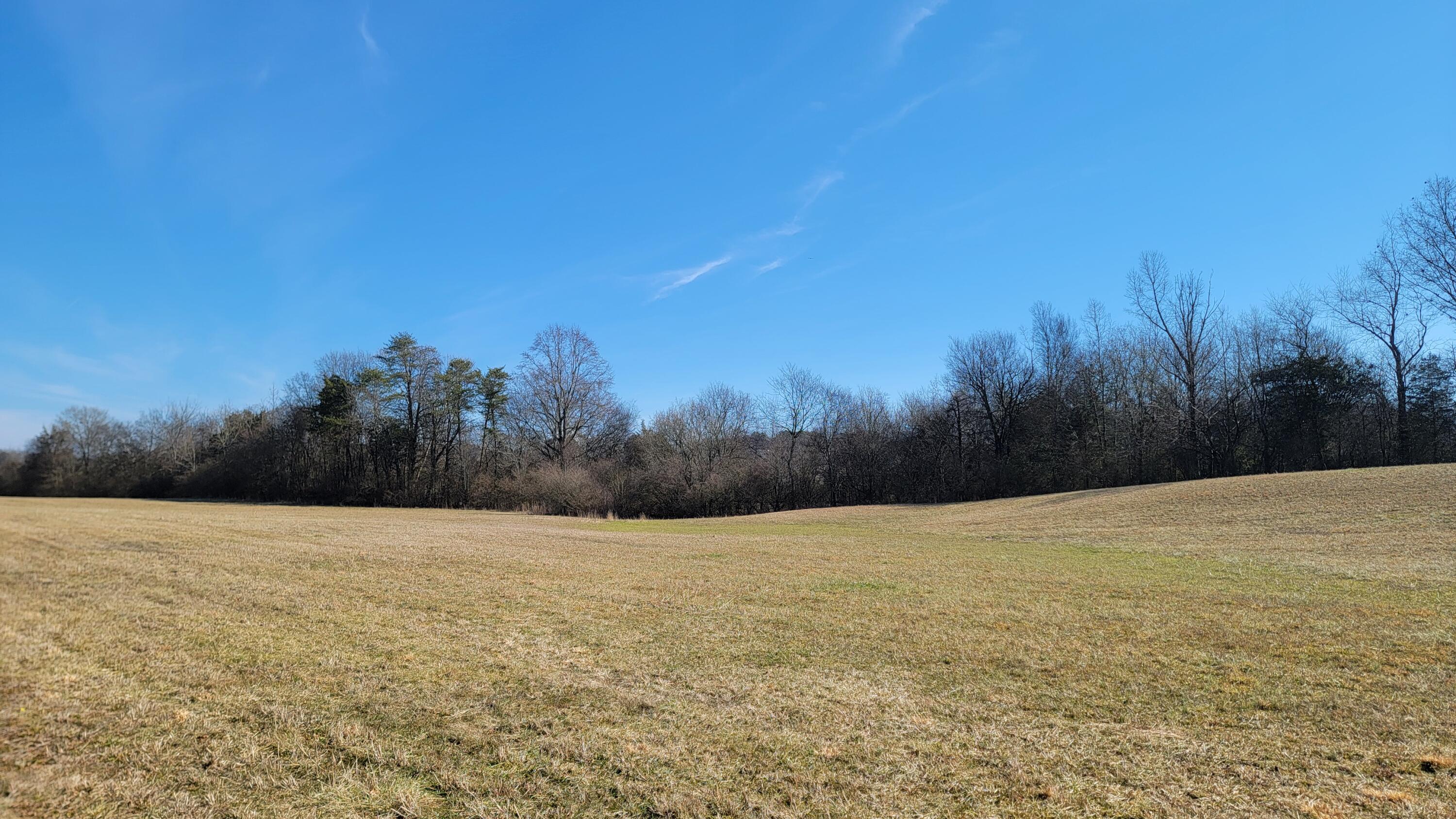 N Lee Highway, Charleston, Tennessee image 4