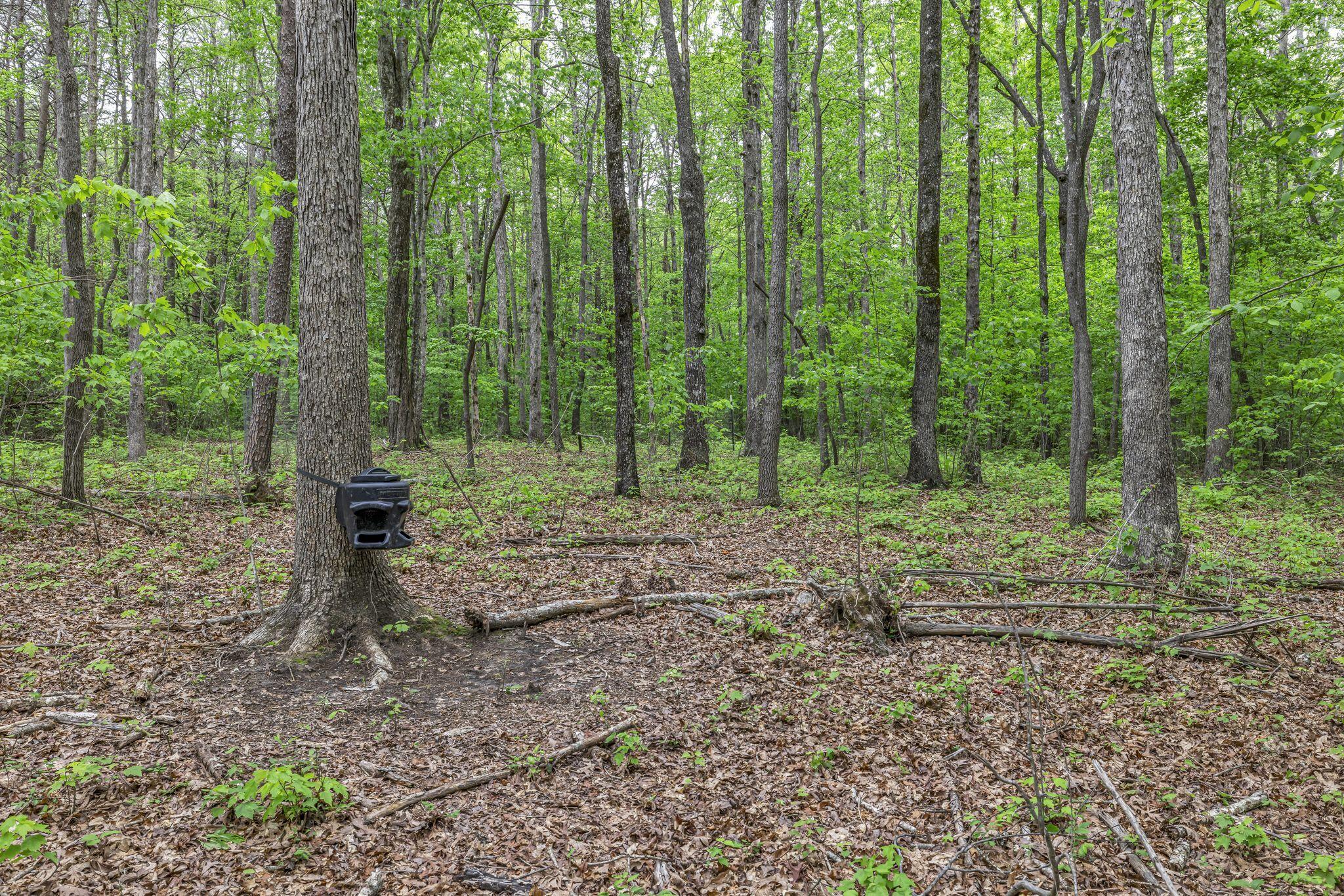 1034 Gadsden Way, Spencer, Tennessee image 38