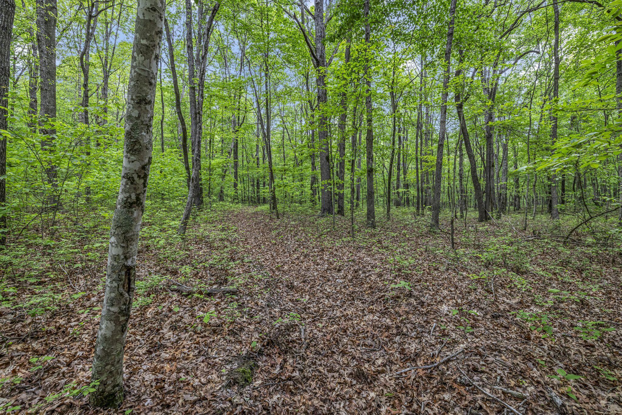1034 Gadsden Way, Spencer, Tennessee image 34