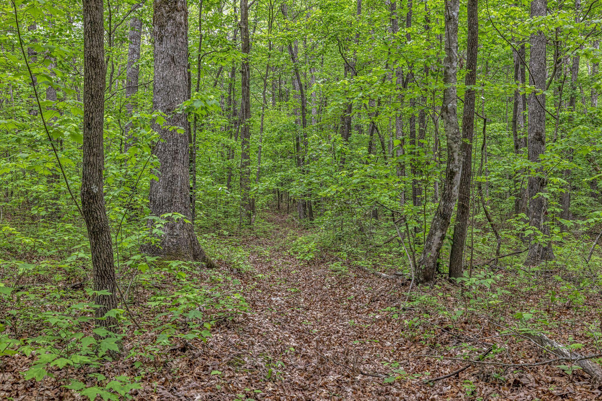 1034 Gadsden Way, Spencer, Tennessee image 37