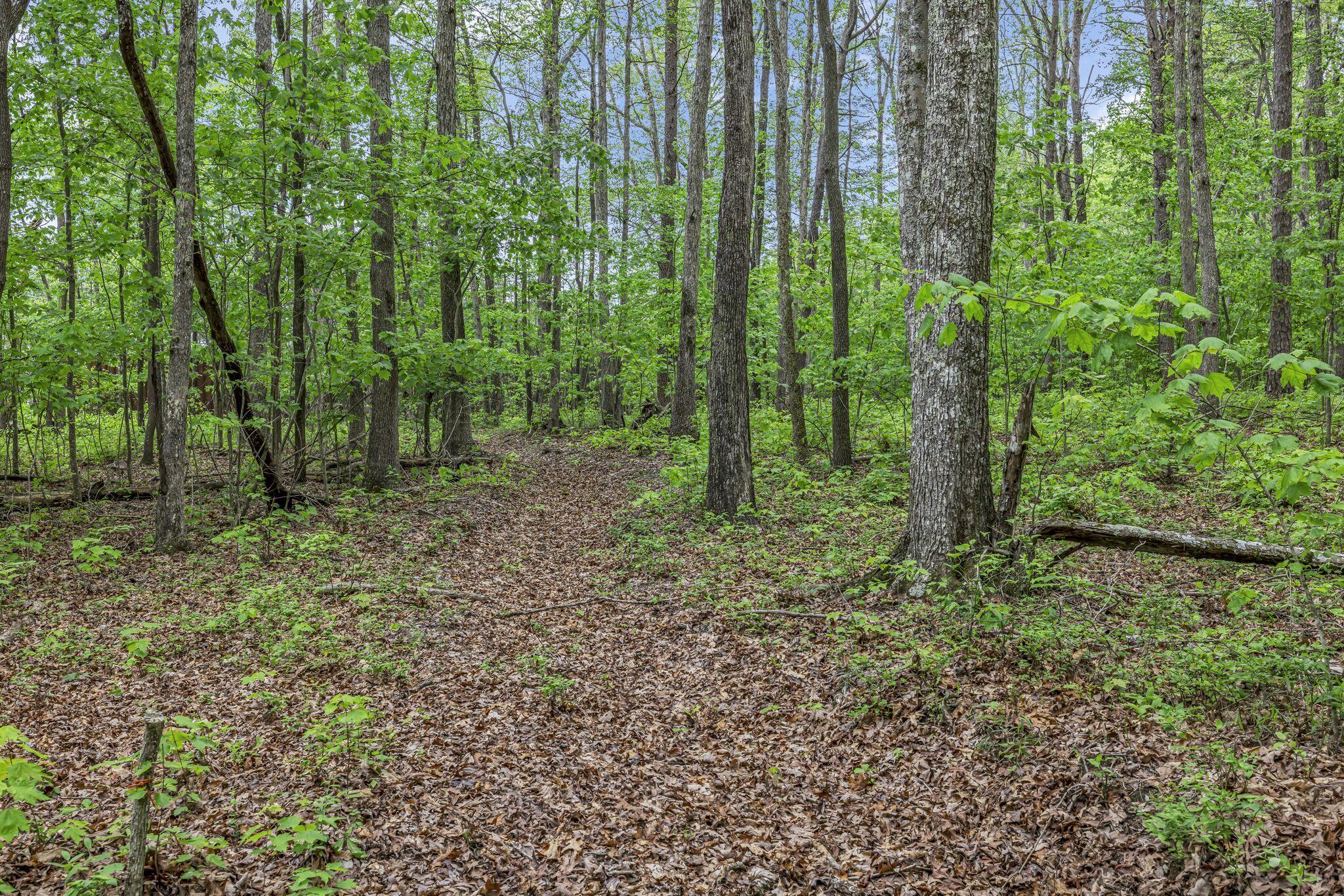 1034 Gadsden Way, Spencer, Tennessee image 36