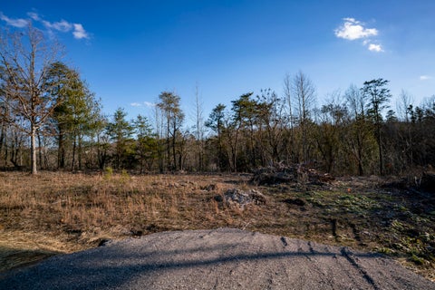 Photo of 353 Rock Creek Road, Lookout Mountain, GA 30750 (MLS # 1544714)