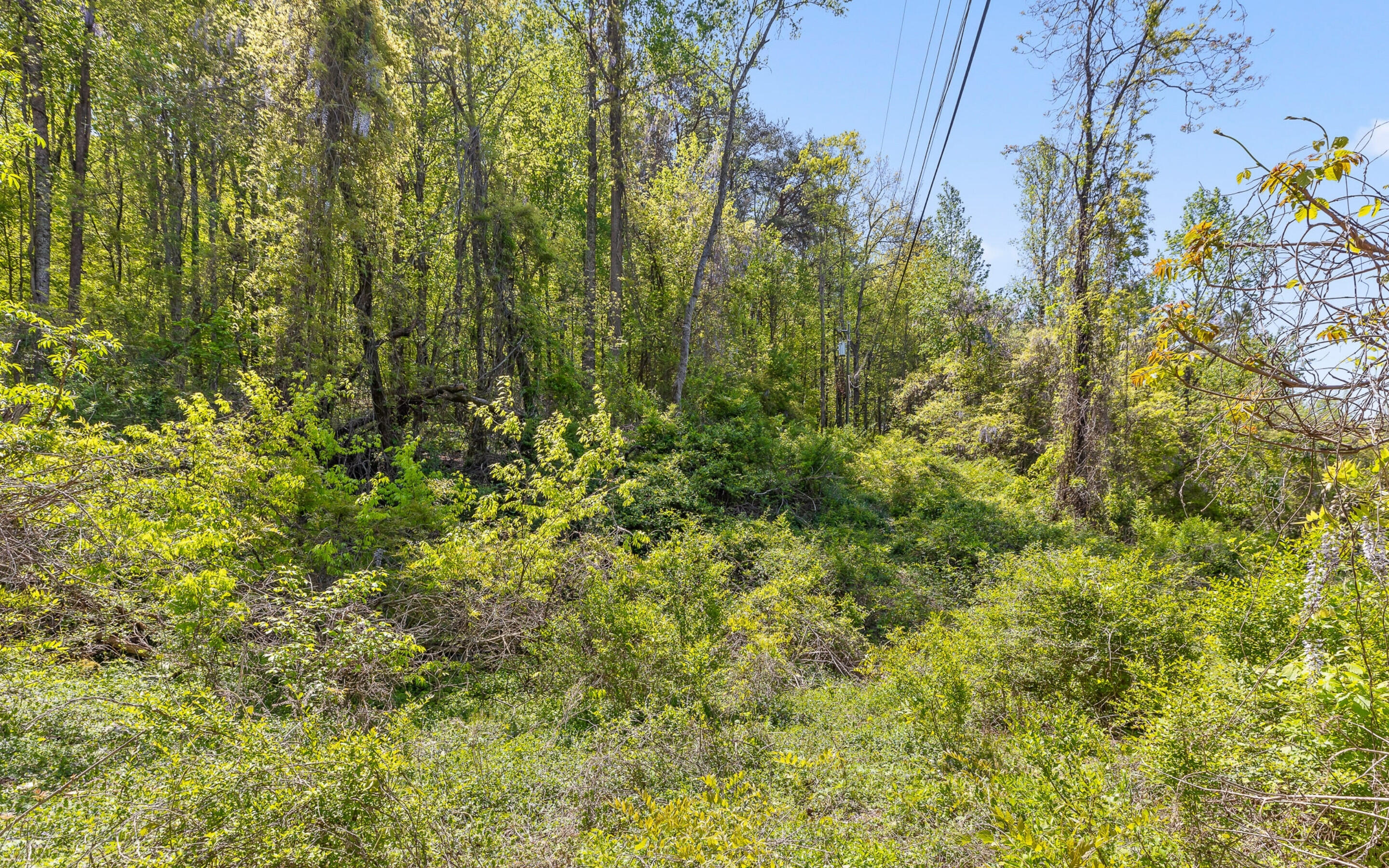 6101 Highway 153, Hixson, Tennessee image 16