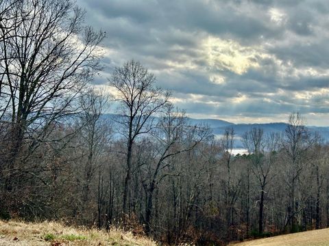 Vacant Land For Sale - Topaz Lane<br/> Claiborne County, New Tazewell, TN 37825