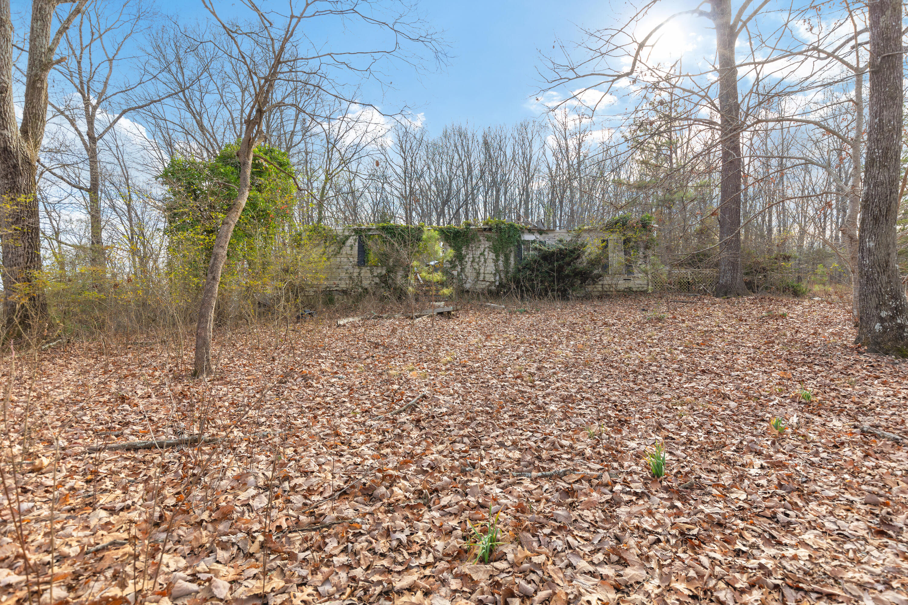 14.9 Ac Percheron Drive, Dalton, Georgia image 6