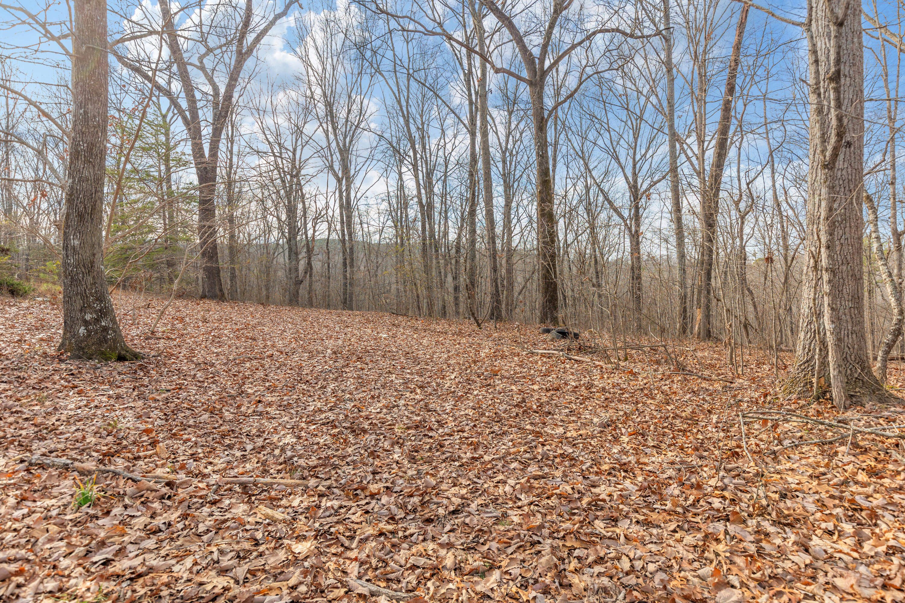 14.9 Ac Percheron Drive, Dalton, Georgia image 7