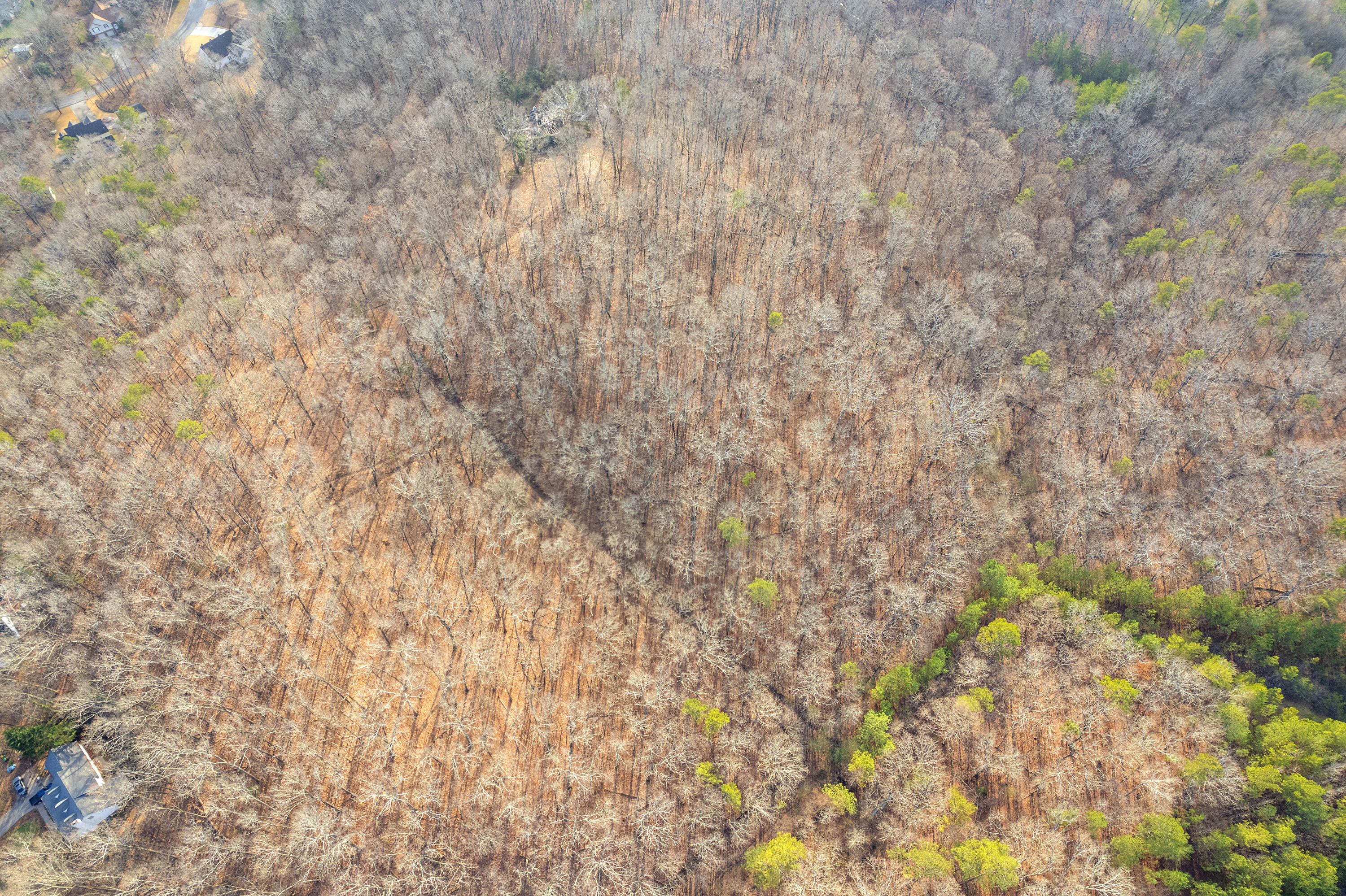 14.9 Ac Percheron Drive, Dalton, Georgia image 12