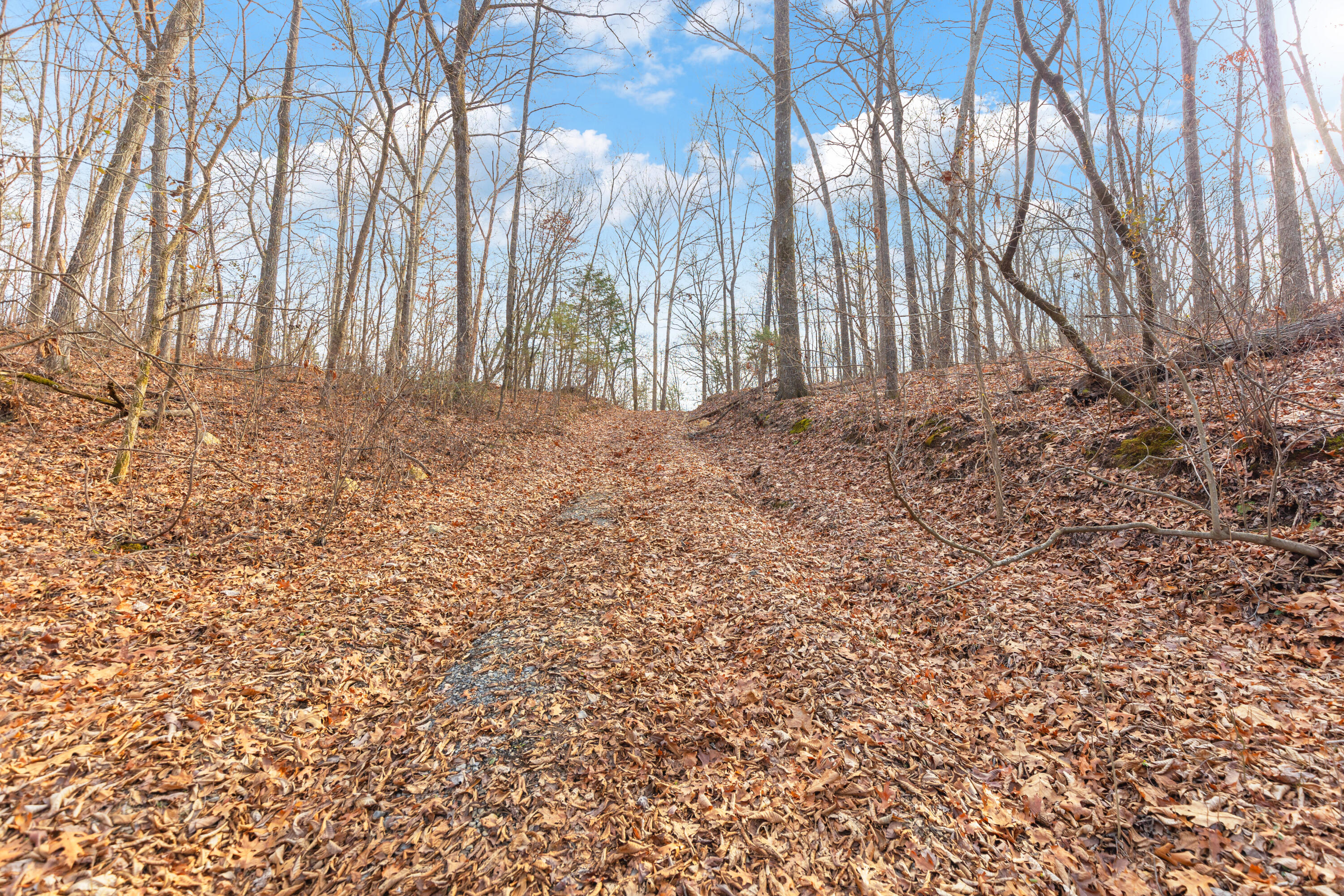 14.9 Ac Percheron Drive, Dalton, Georgia image 11