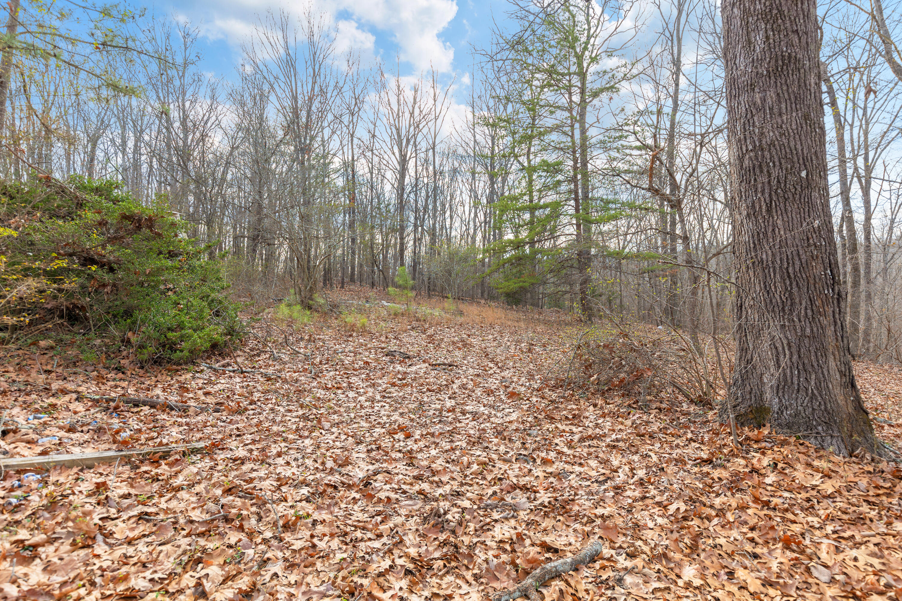 14.9 Ac Percheron Drive, Dalton, Georgia image 8