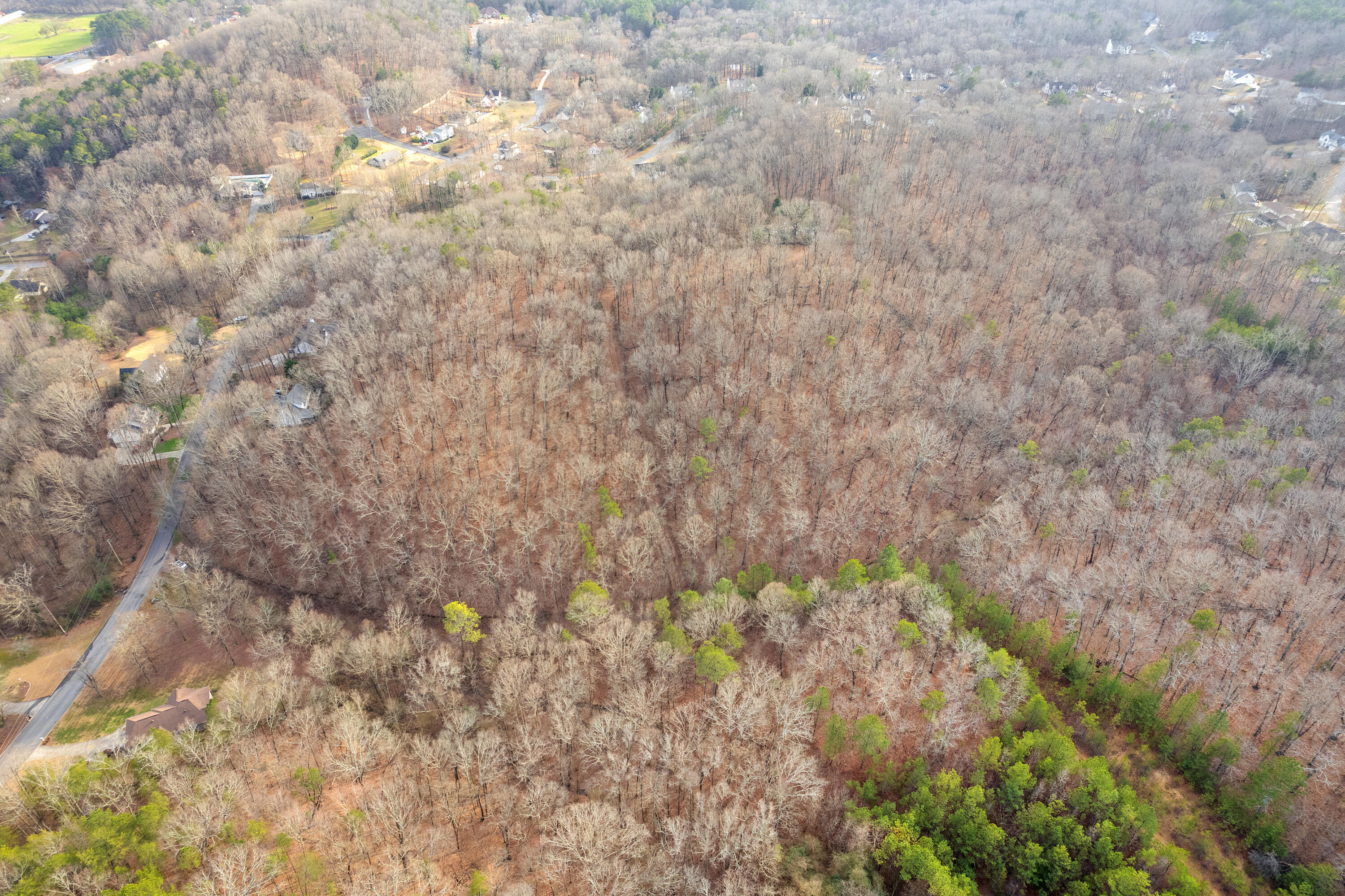 14.9 Ac Percheron Drive, Dalton, Georgia image 17