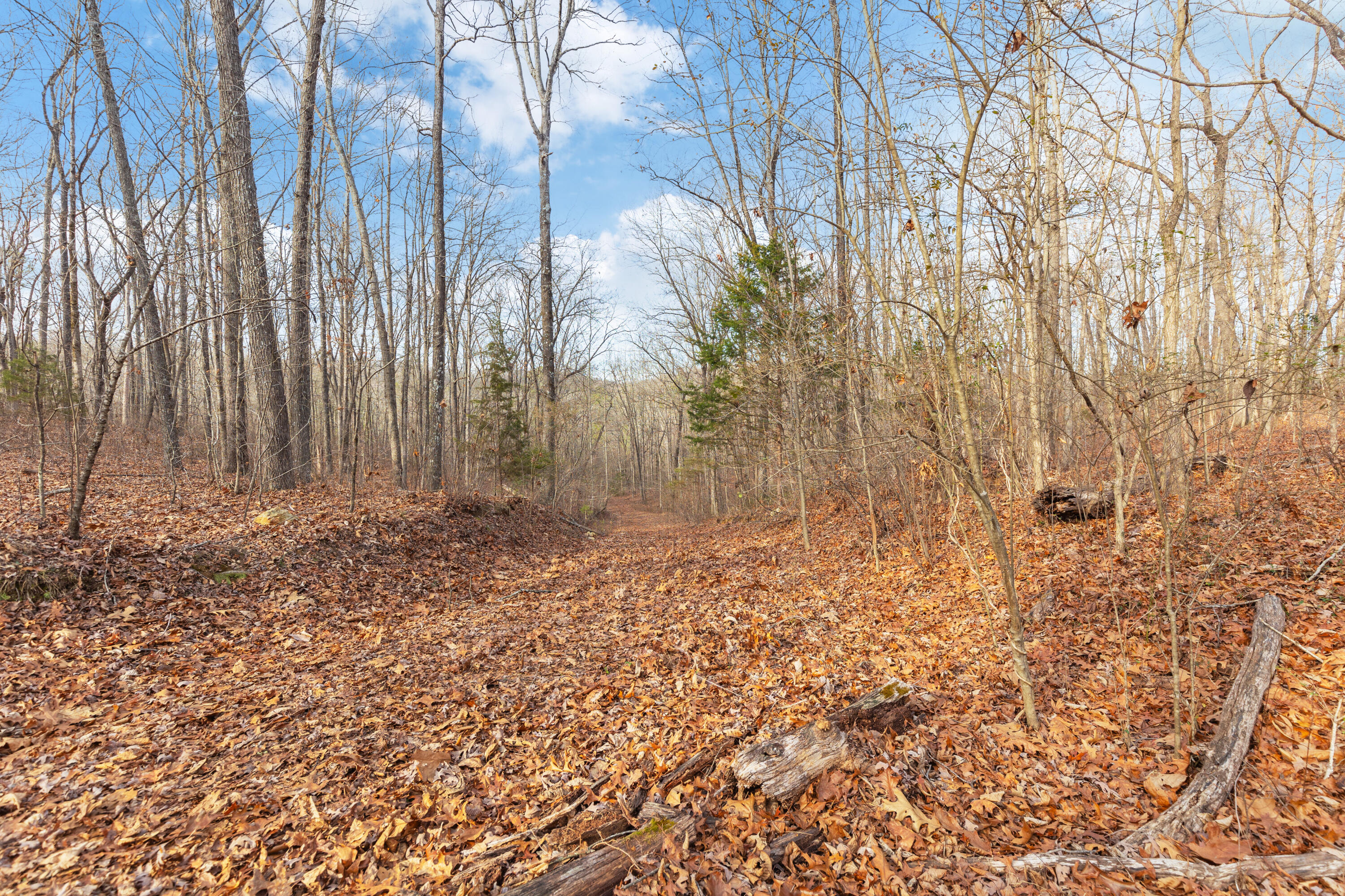 14.9 Ac Percheron Drive, Dalton, Georgia image 10