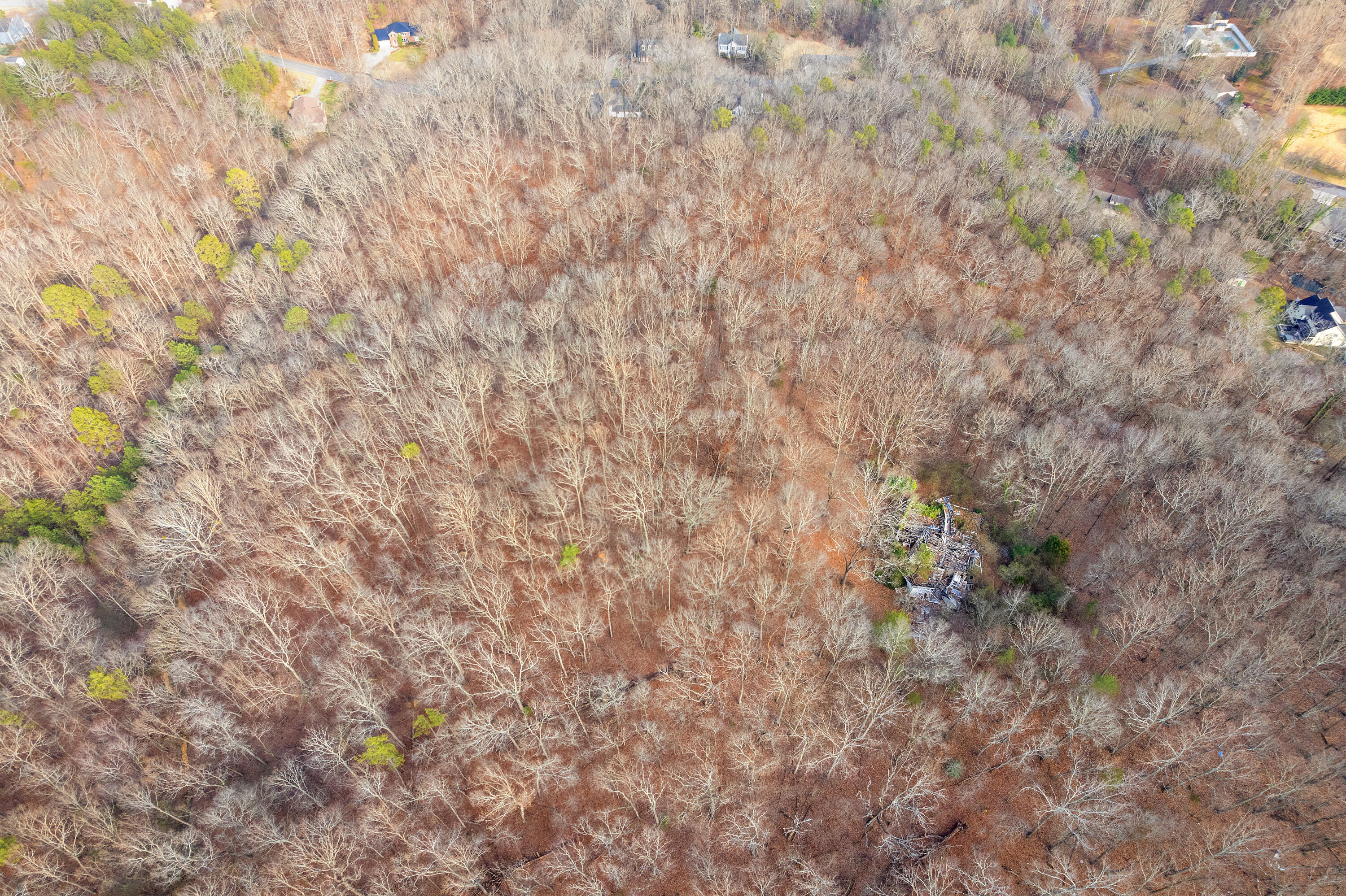 14.9 Ac Percheron Drive, Dalton, Georgia image 14