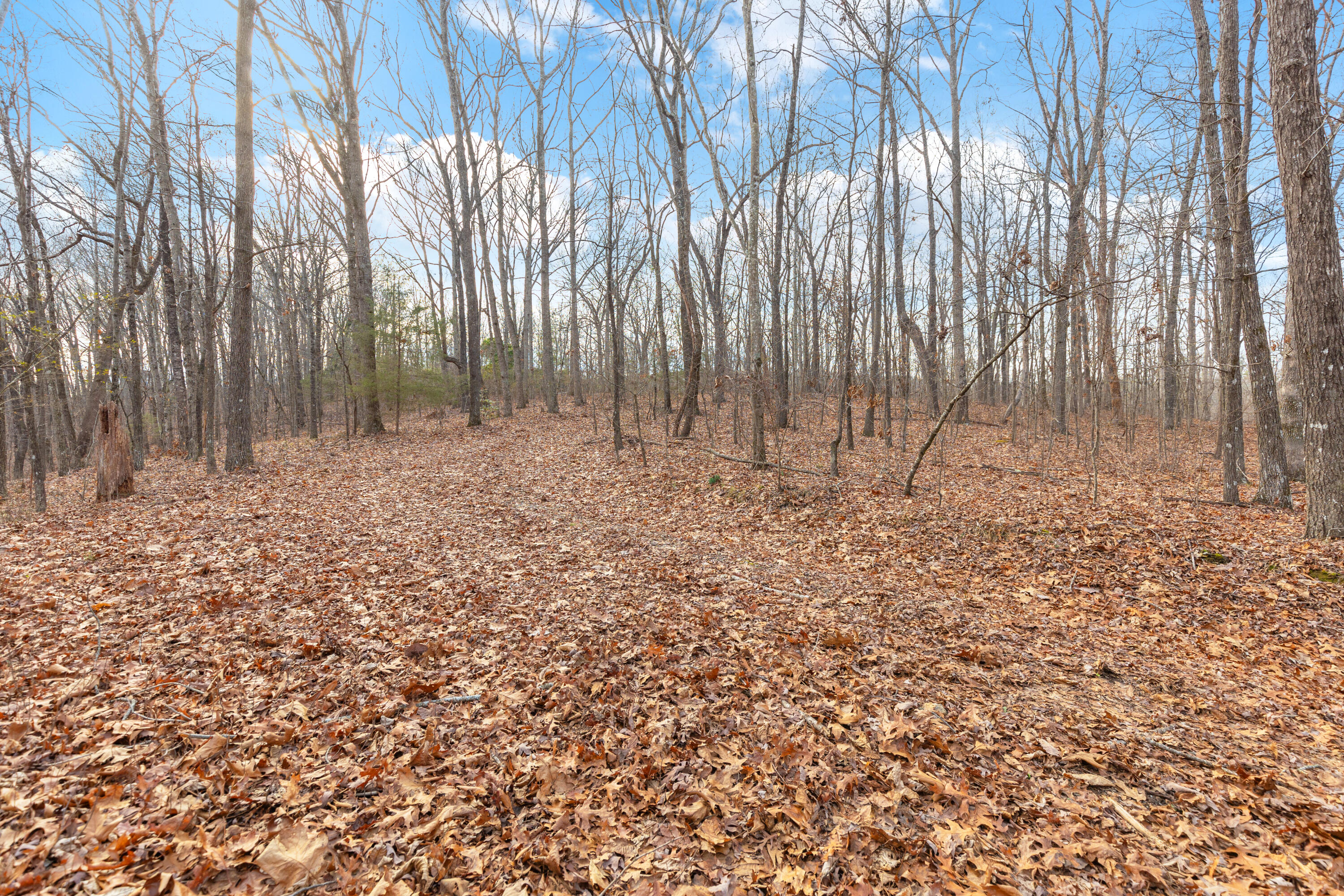 14.9 Ac Percheron Drive, Dalton, Georgia image 2