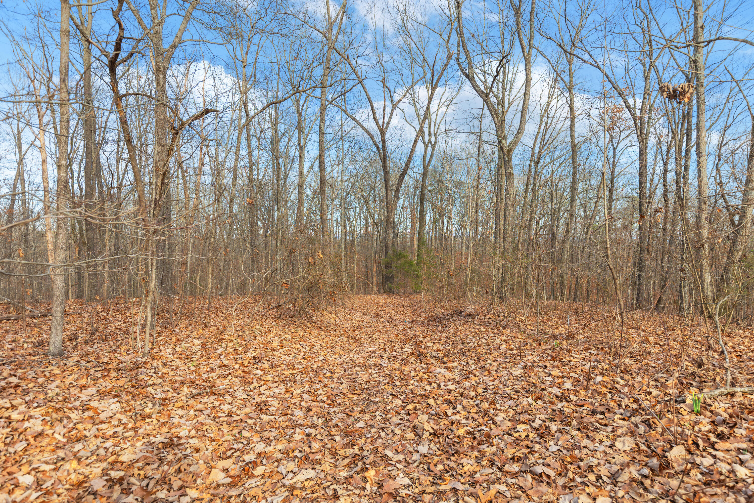 14.9 Ac Percheron Drive, Dalton, Georgia image 9