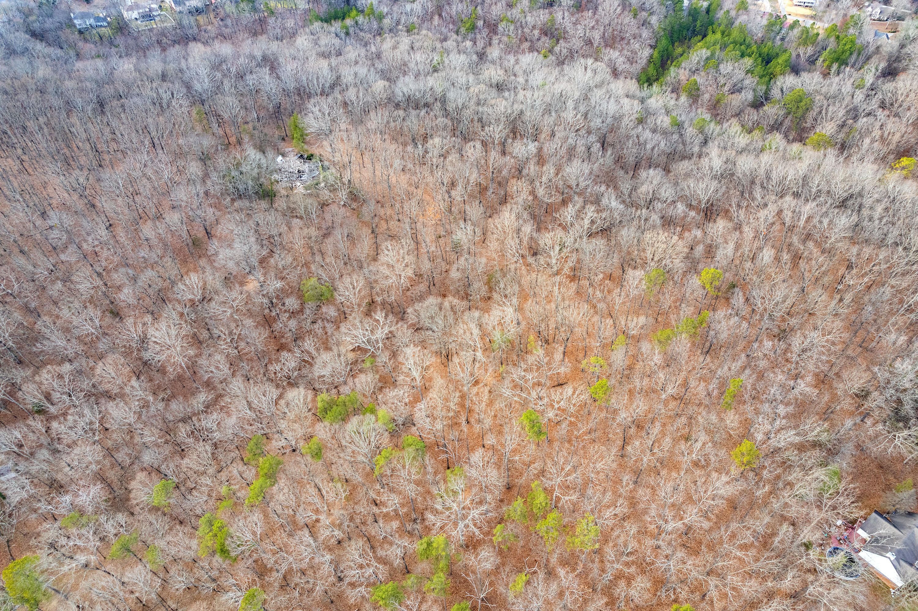 14.9 Ac Percheron Drive, Dalton, Georgia image 22