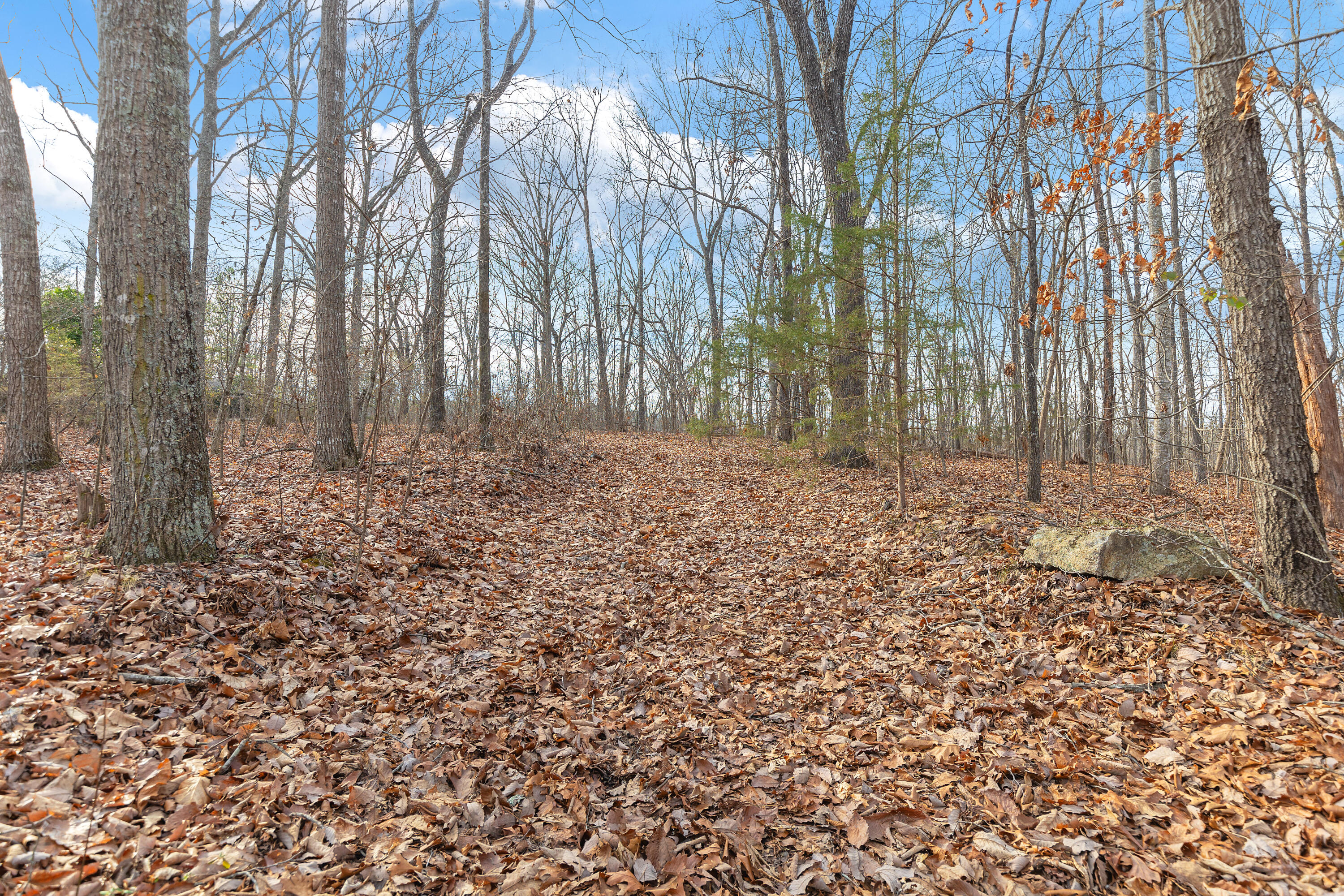 14.9 Ac Percheron Drive, Dalton, Georgia image 3