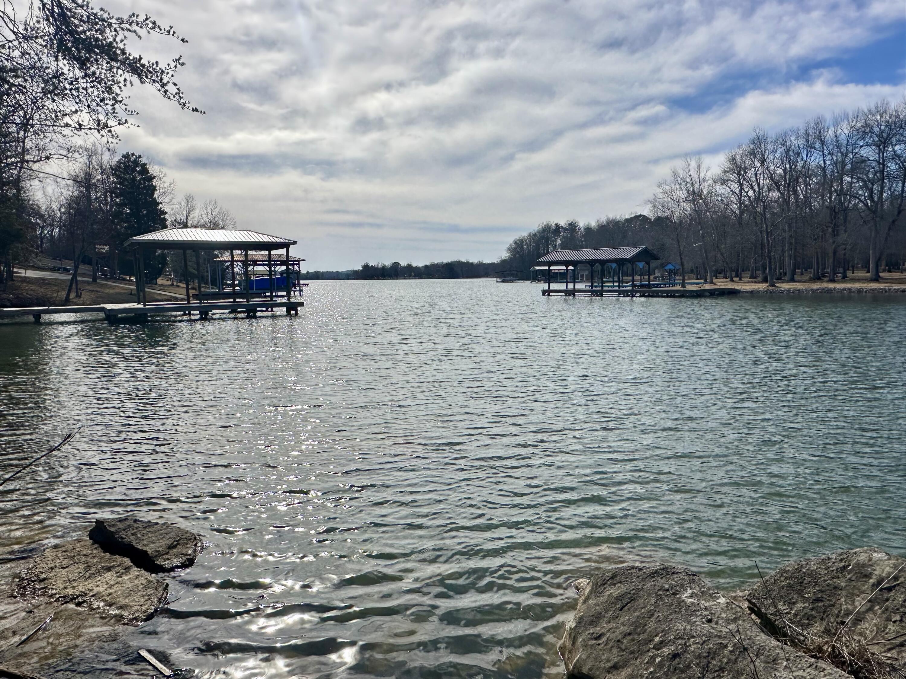 518 Debbie Drive, Spring City, Tennessee image 6