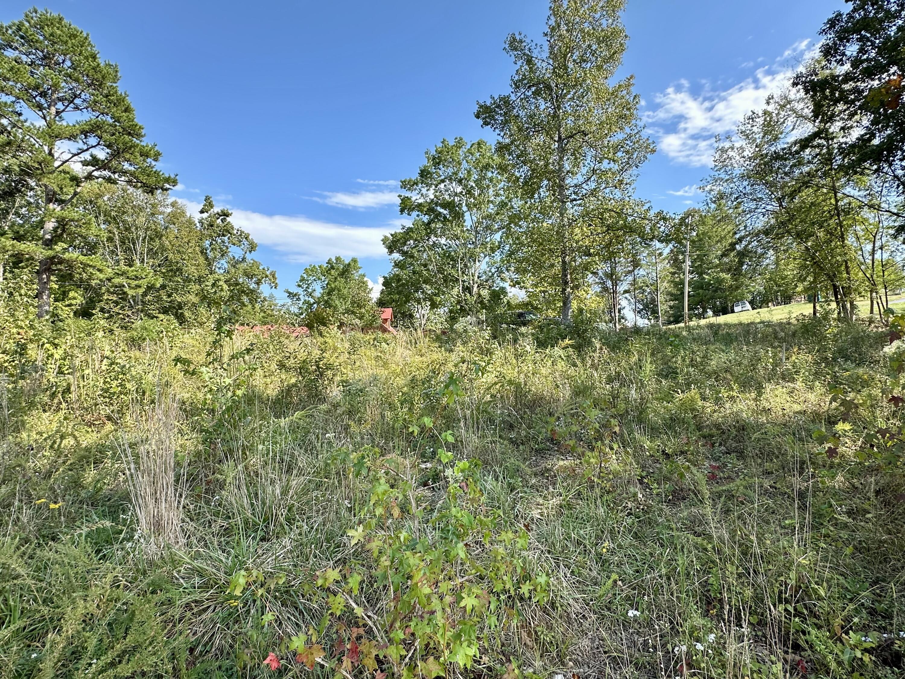 518 Debbie Drive, Spring City, Tennessee image 15