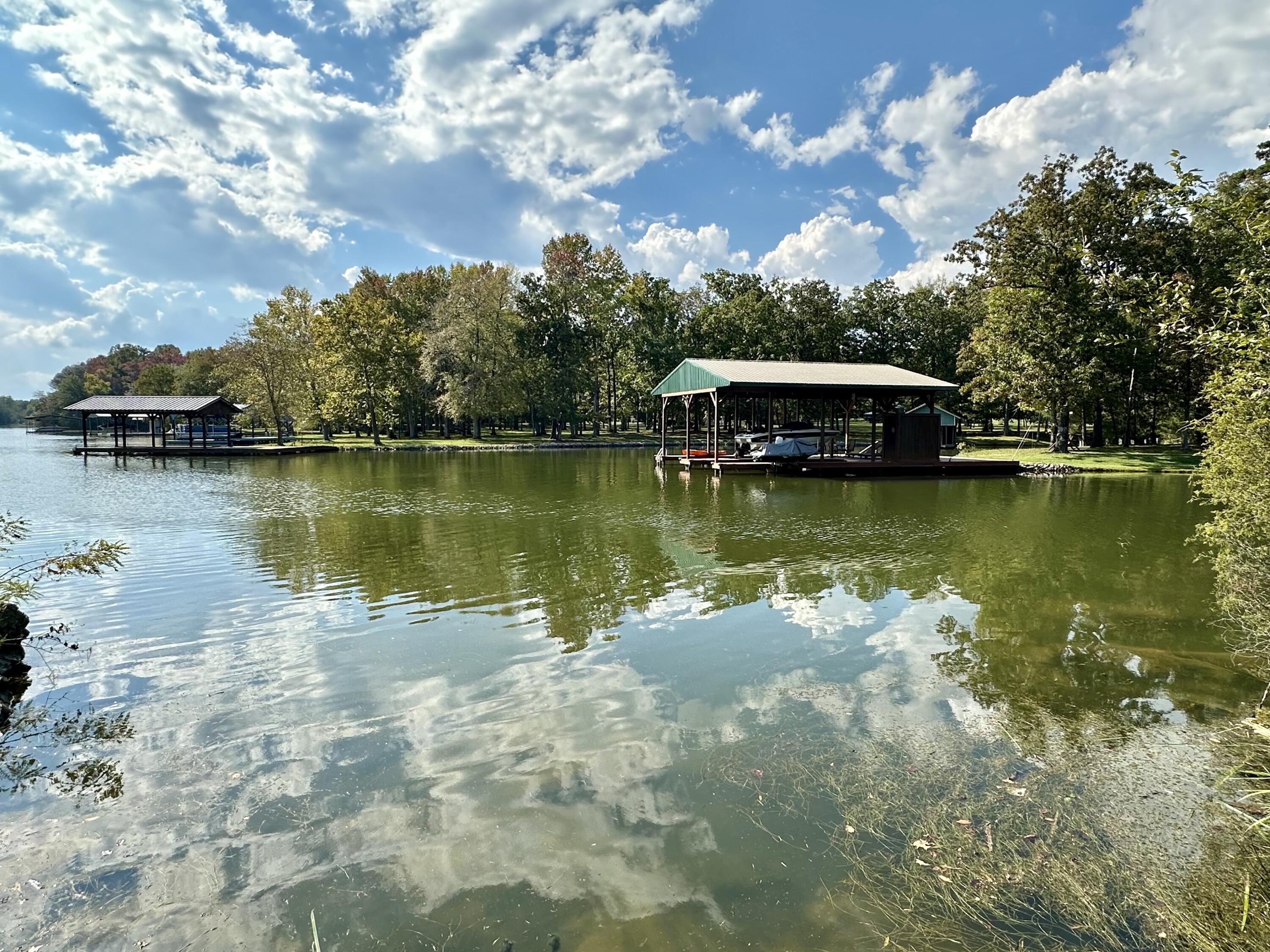 518 Debbie Drive, Spring City, Tennessee image 1