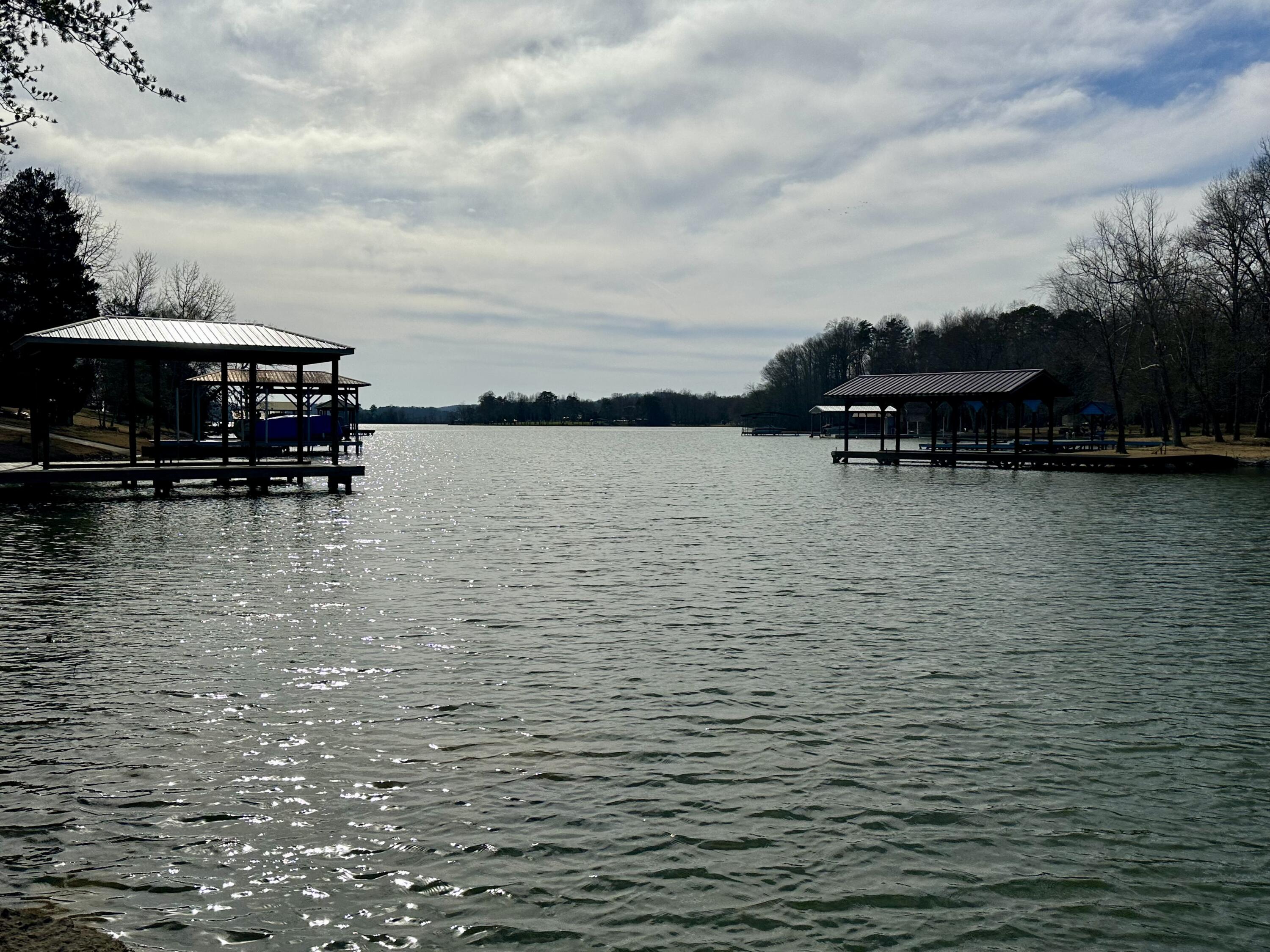 518 Debbie Drive, Spring City, Tennessee image 19