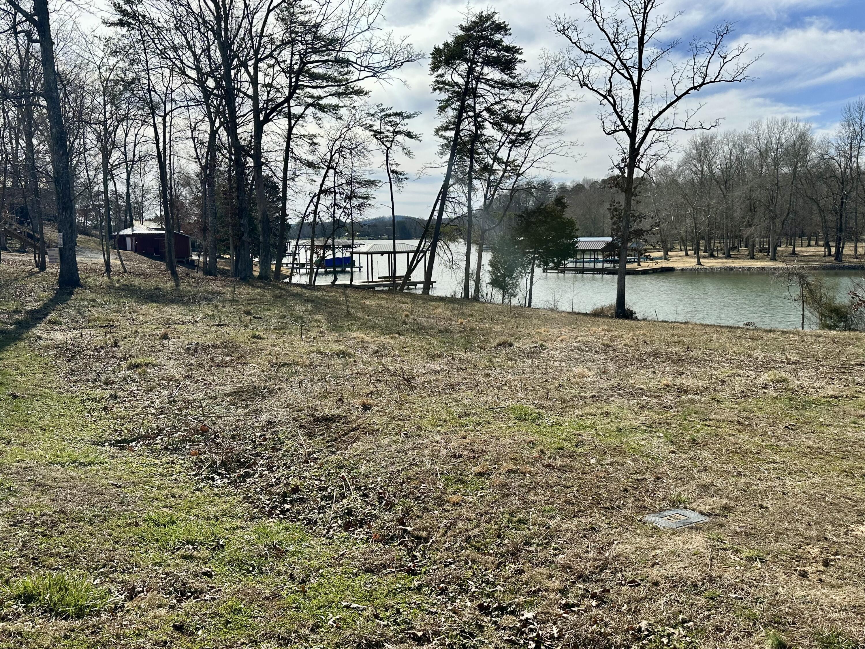 518 Debbie Drive, Spring City, Tennessee image 4