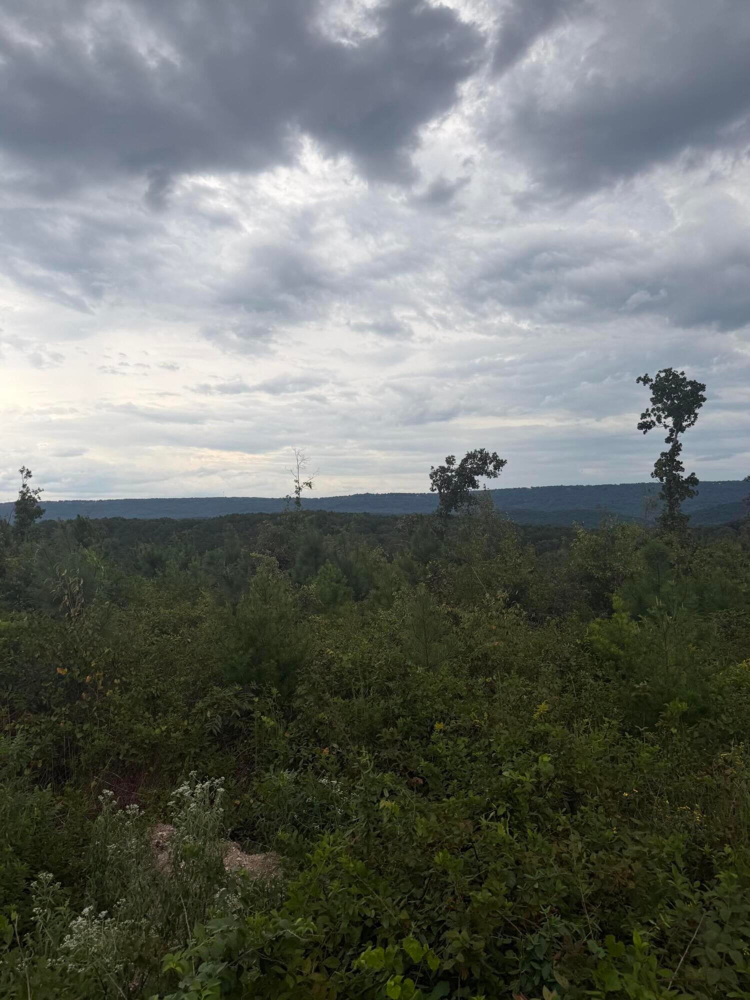 Lot 2 Bethel Road Lot 2