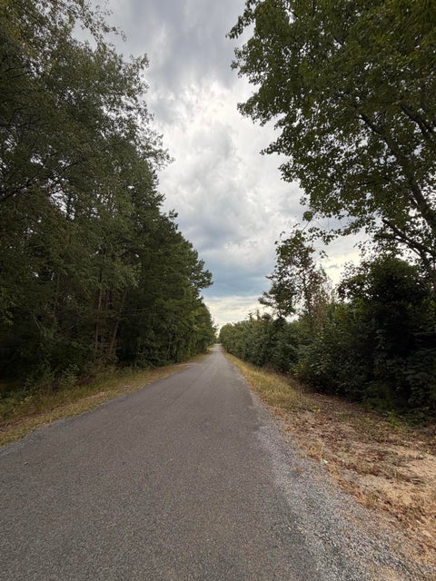 Photo of Lot 2 Bethel Road, Hammondville, AL 35989 (MLS # 1543067)