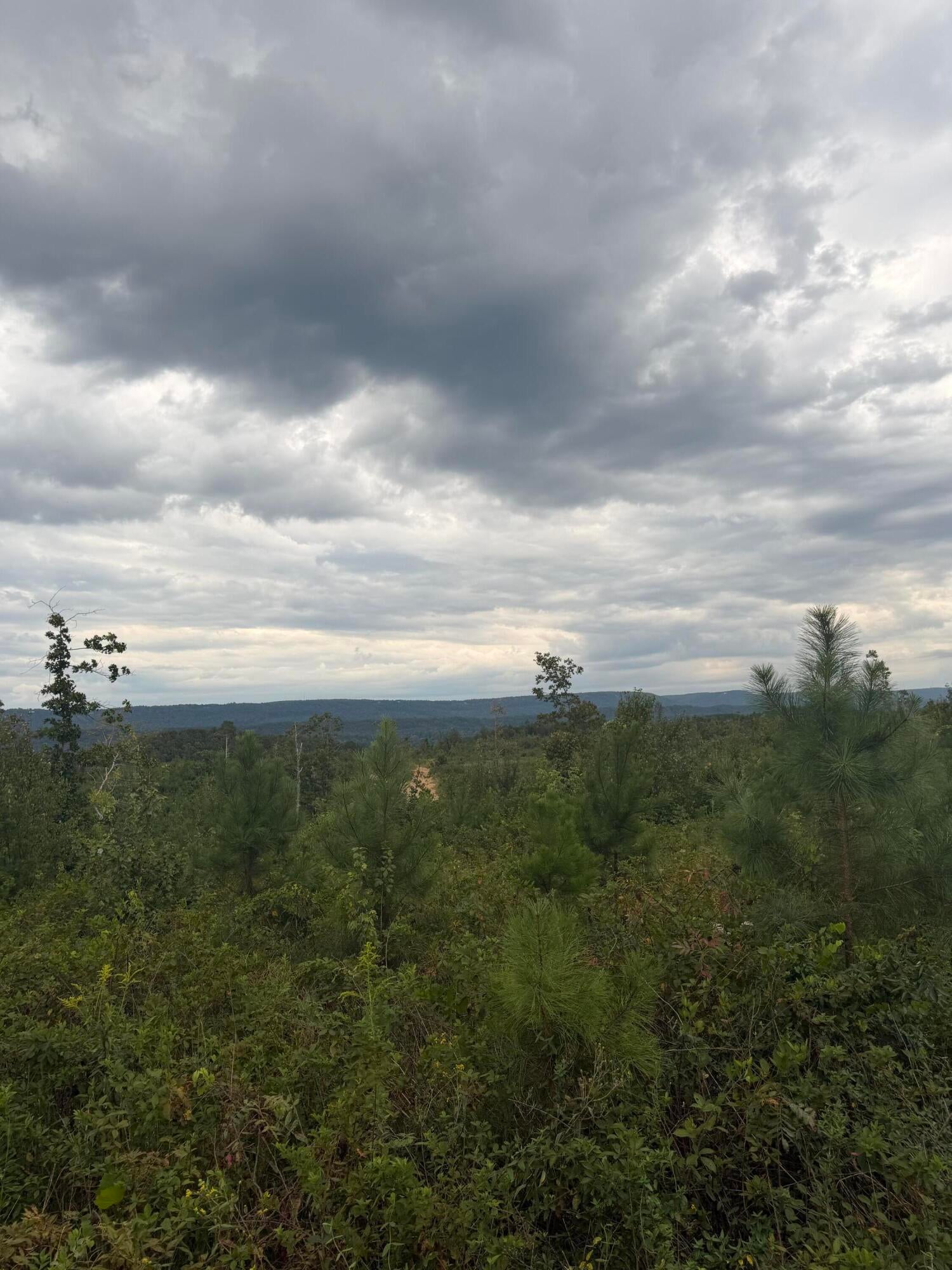 Lot 2 Bethel Road Lot 2