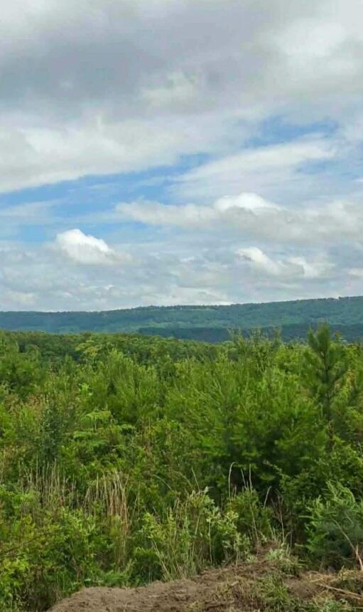 Lot 2 Bethel Road Lot 2