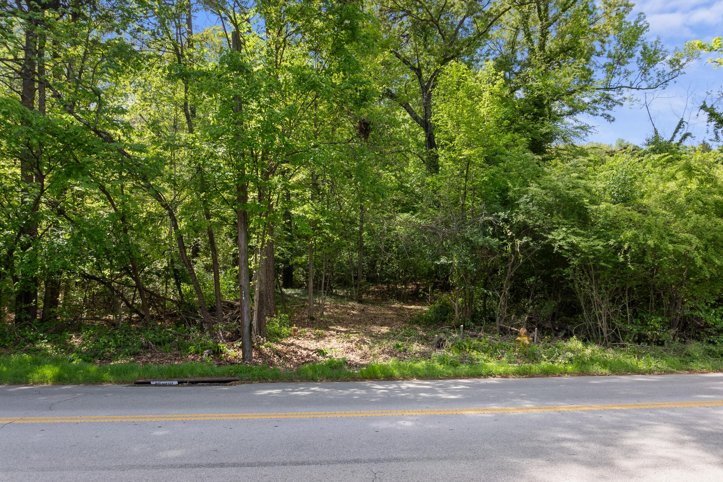 Russell Ave. Avenue, Chattanooga, Tennessee image 8