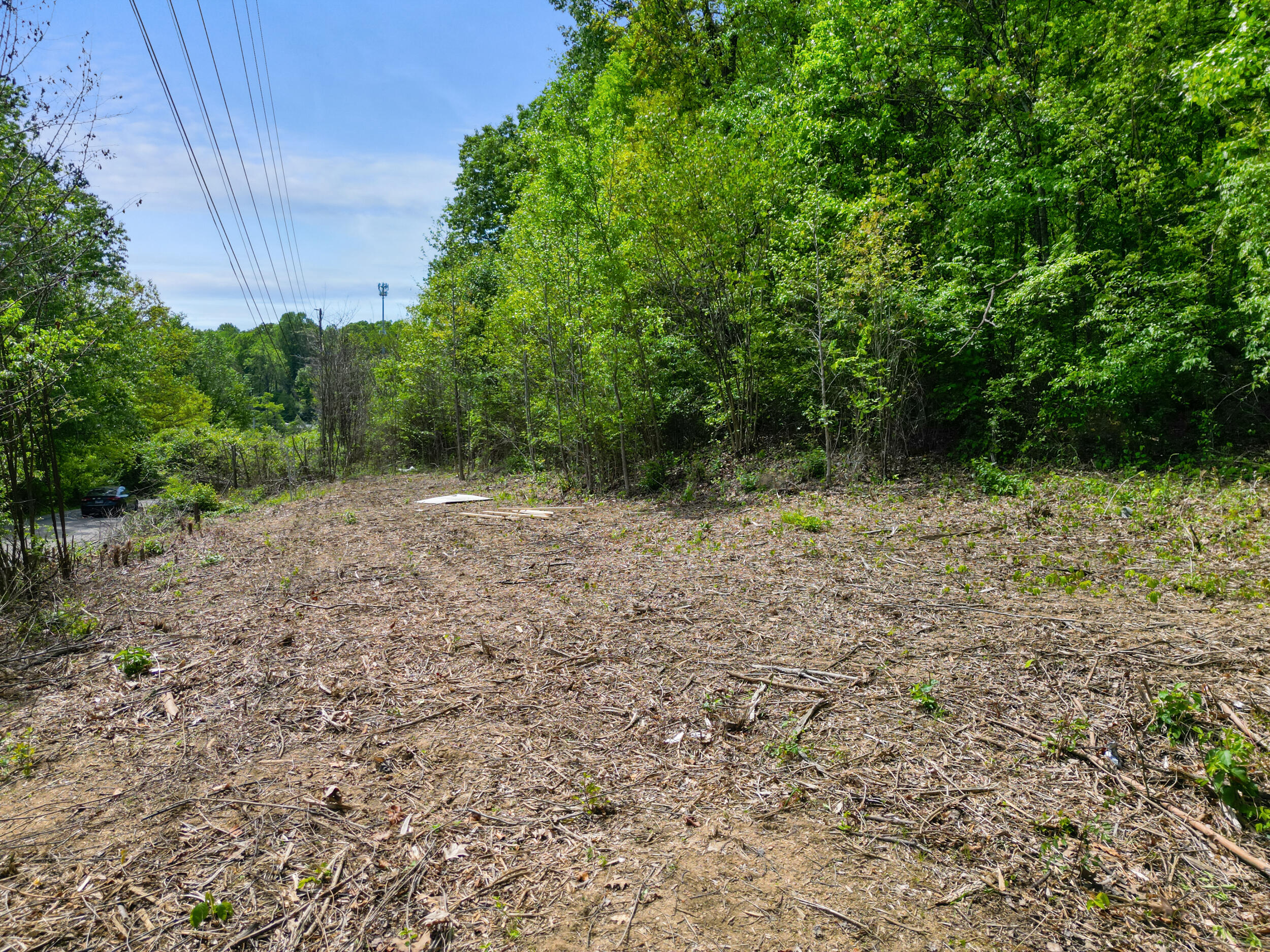 Russell Ave. Avenue, Chattanooga, Tennessee image 12