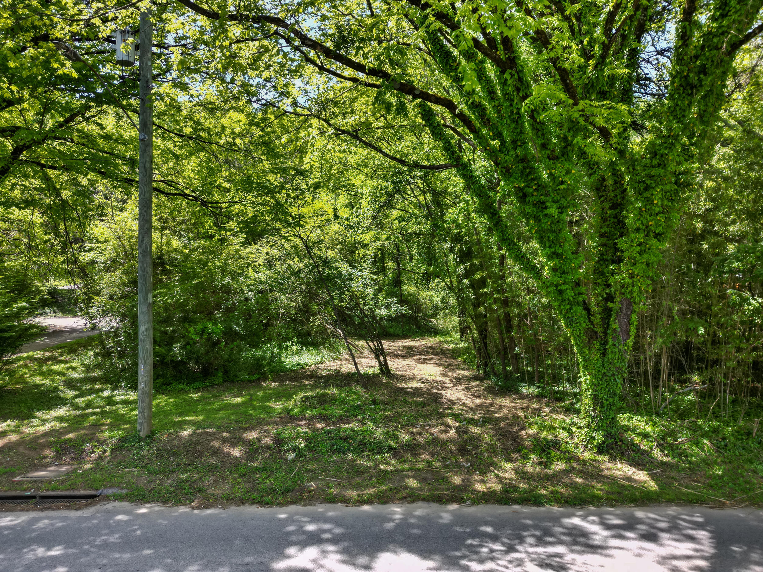 Russell Ave. Avenue, Chattanooga, Tennessee image 1