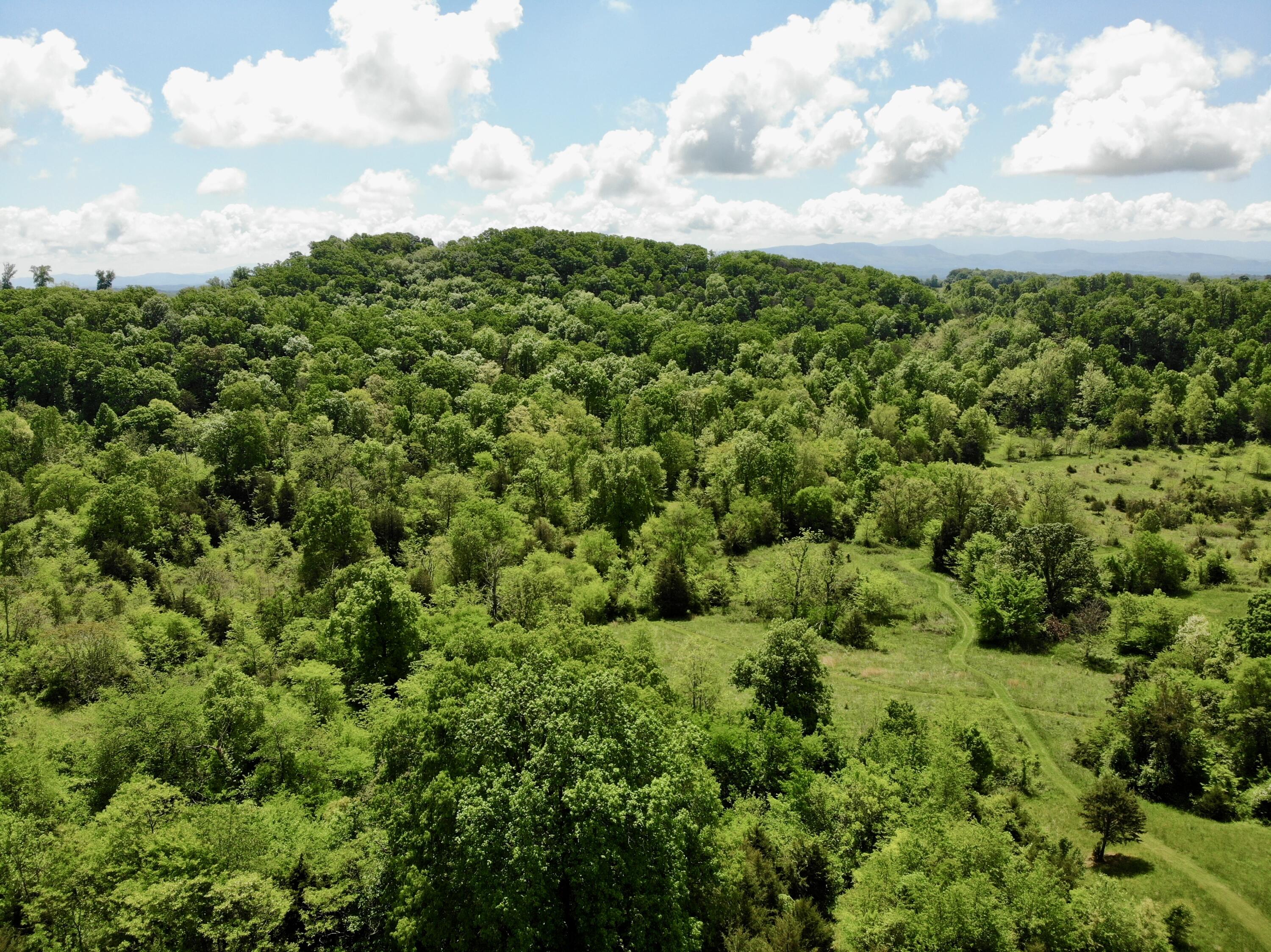 1055 Barbee Road, Jefferson City, Tennessee image 6
