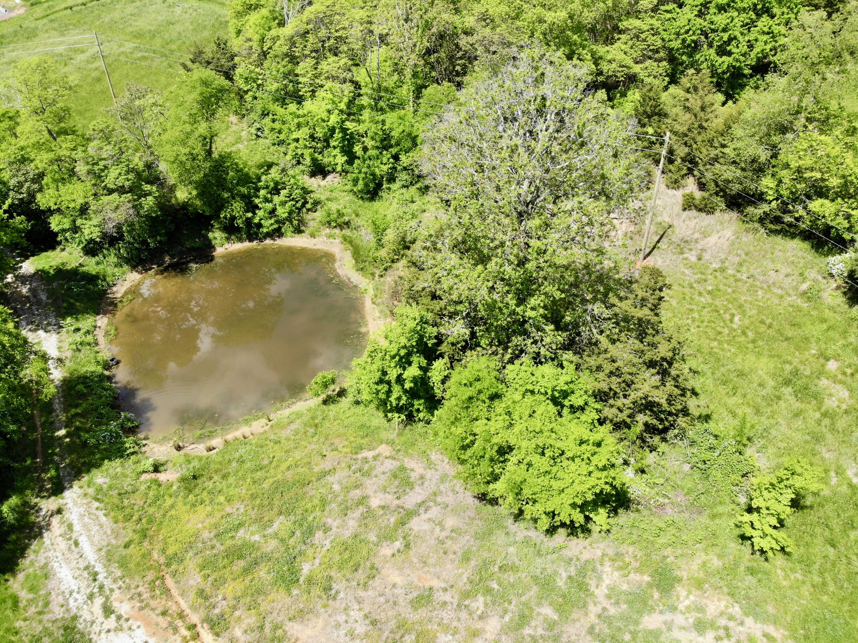 1055 Barbee Road, Jefferson City, Tennessee image 3
