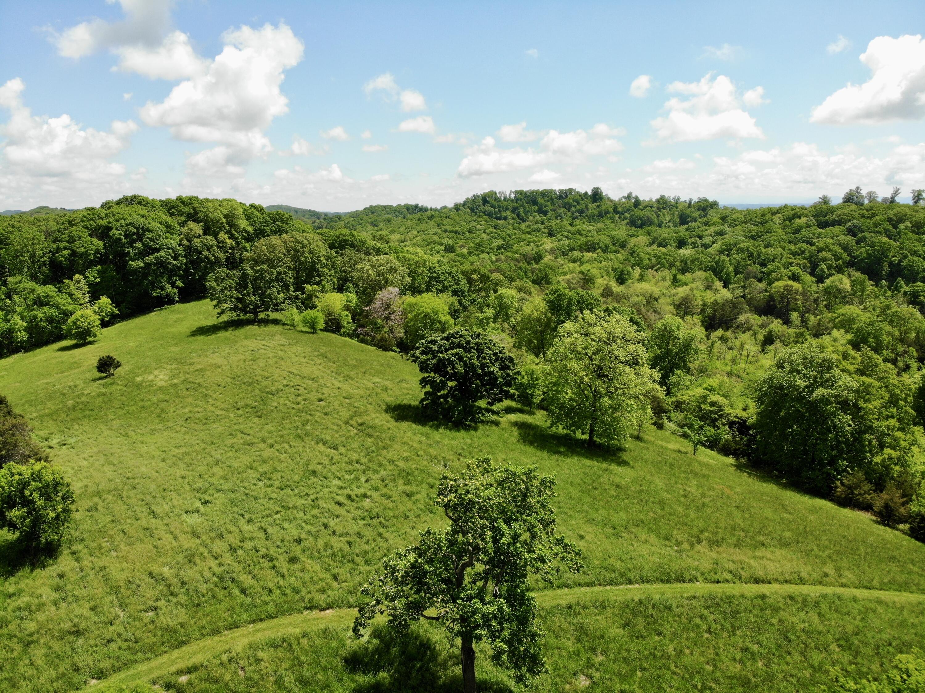 1055 Barbee Road, Jefferson City, Tennessee image 12