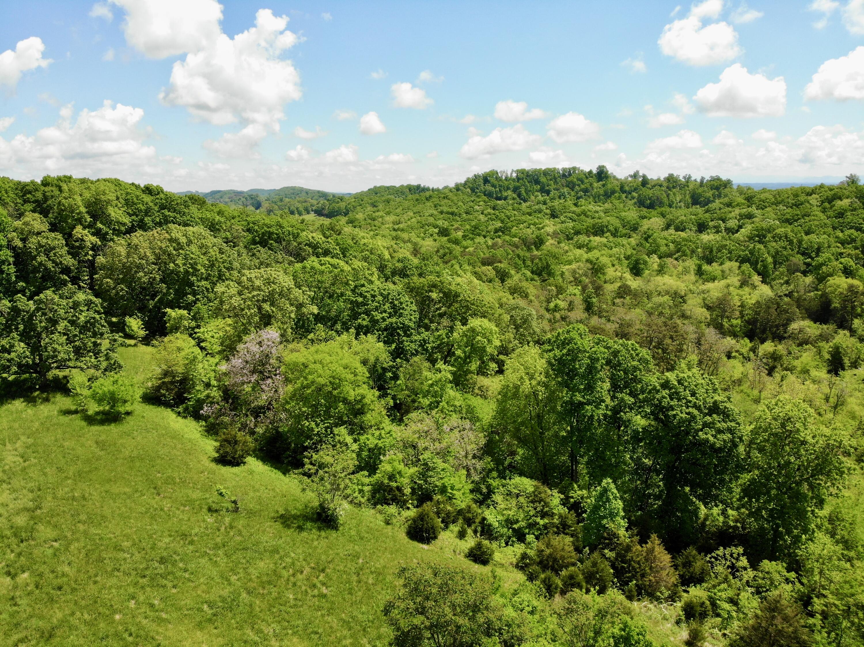 1055 Barbee Road, Jefferson City, Tennessee image 4