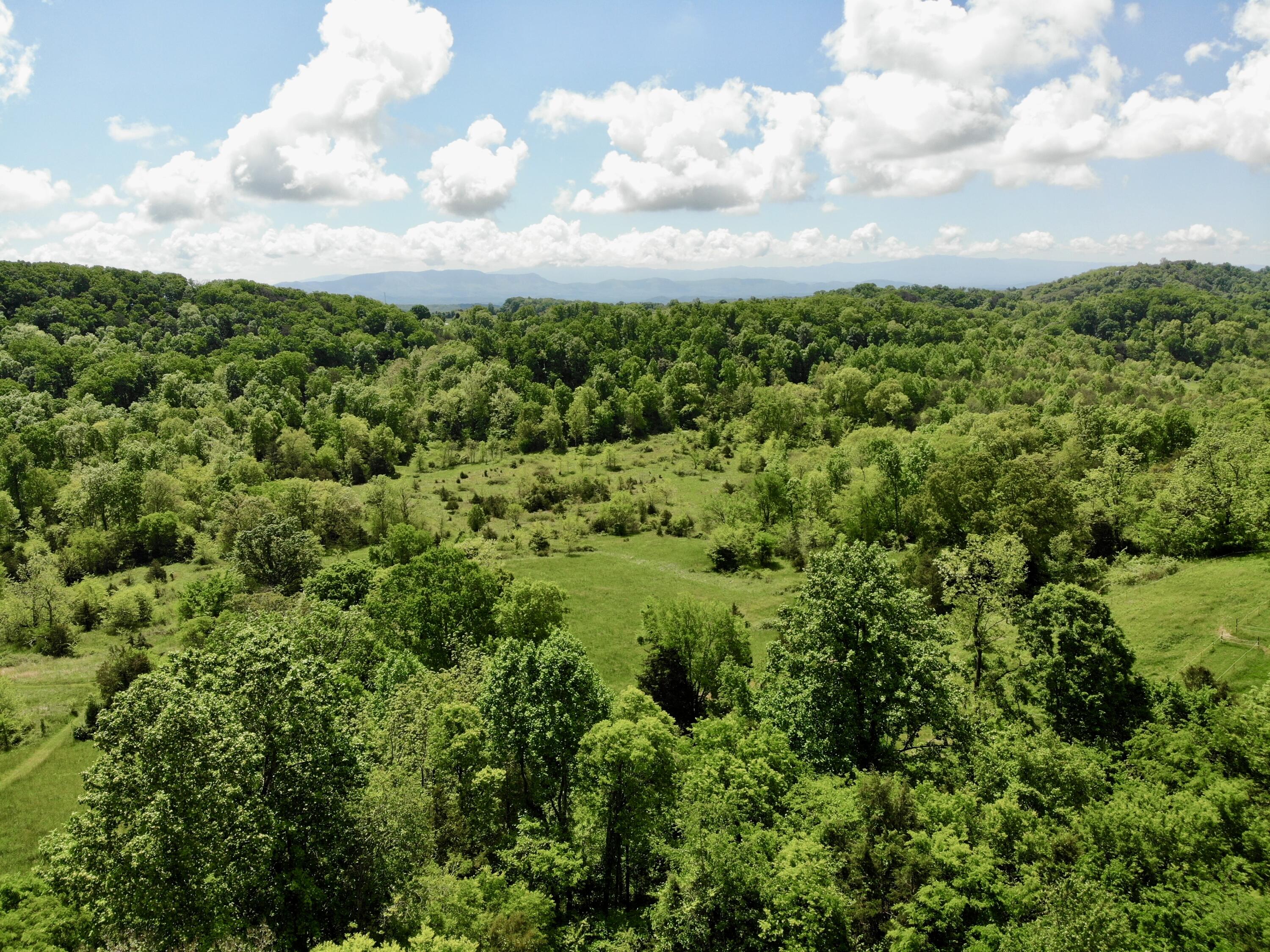 1055 Barbee Road, Jefferson City, Tennessee image 7