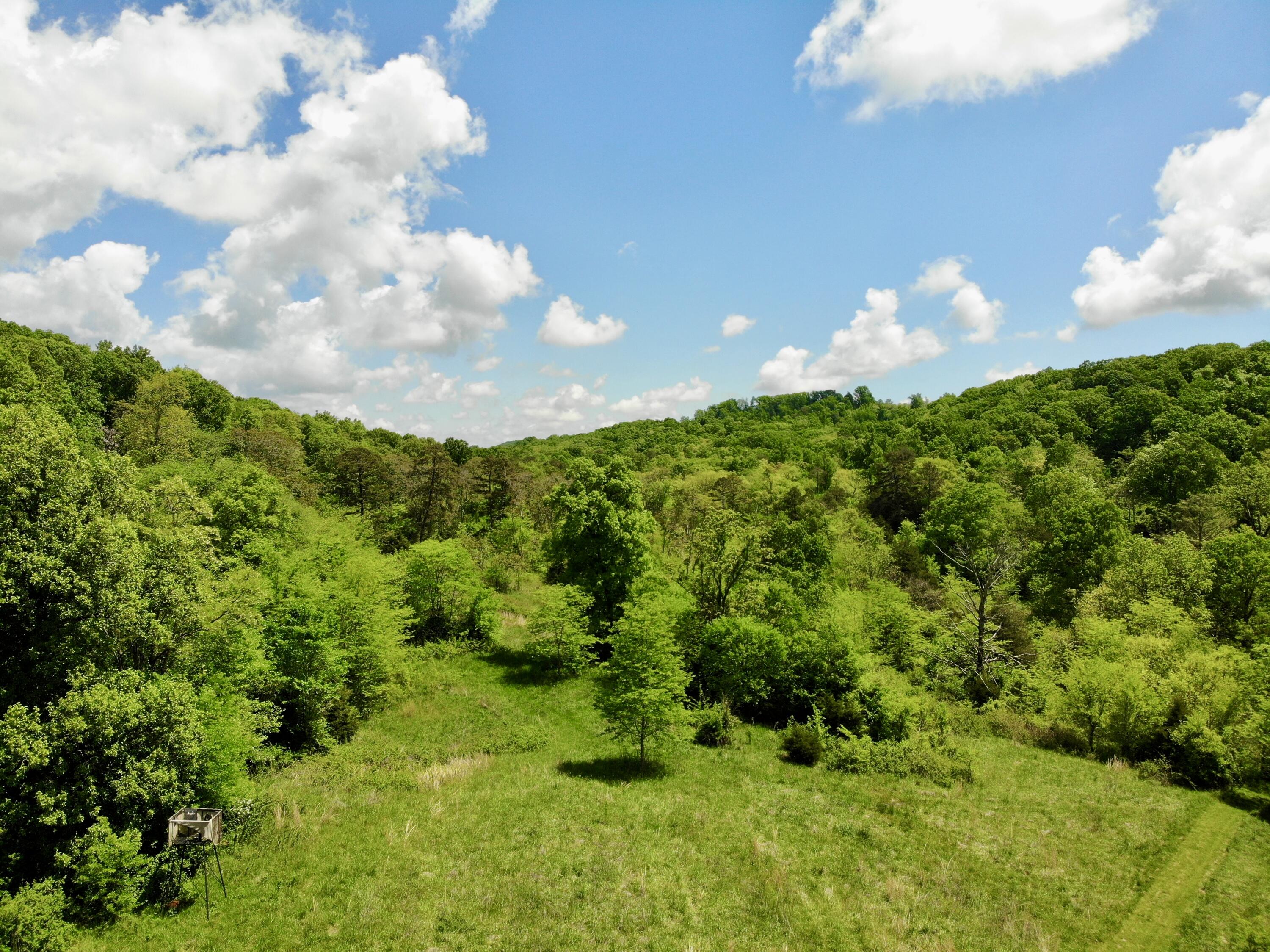 1055 Barbee Road, Jefferson City, Tennessee image 16