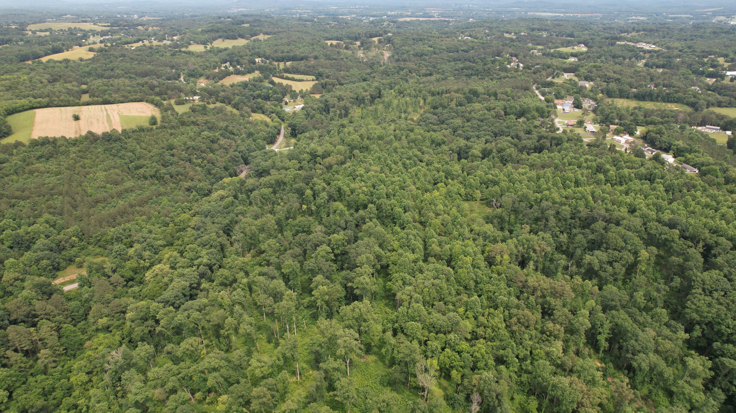 00 Rhea County Highway, Dayton, Tennessee image 11