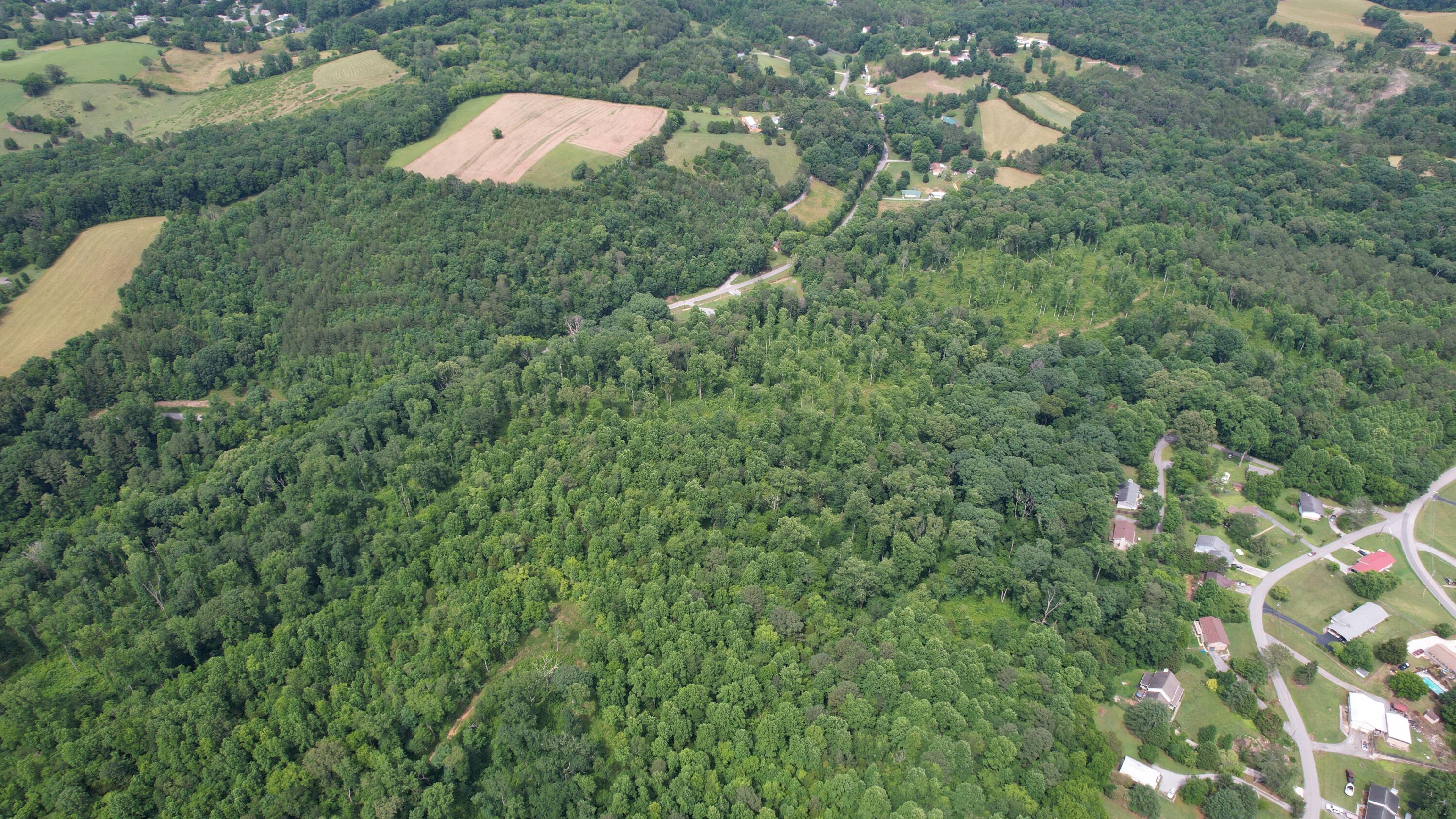 00 Rhea County Highway, Dayton, Tennessee image 28