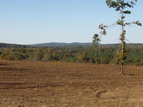 Photo of Lot 11 Summer City Road, Evensville, TN 37332 (MLS # 1544633)