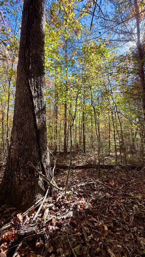 Photo of 0 Owl Hollow Road, Palmer, TN 37365 (MLS # 1523049) Photo of 0 Owl Hollow Road, Palmer, TN 37365 (MLS # 1523049)